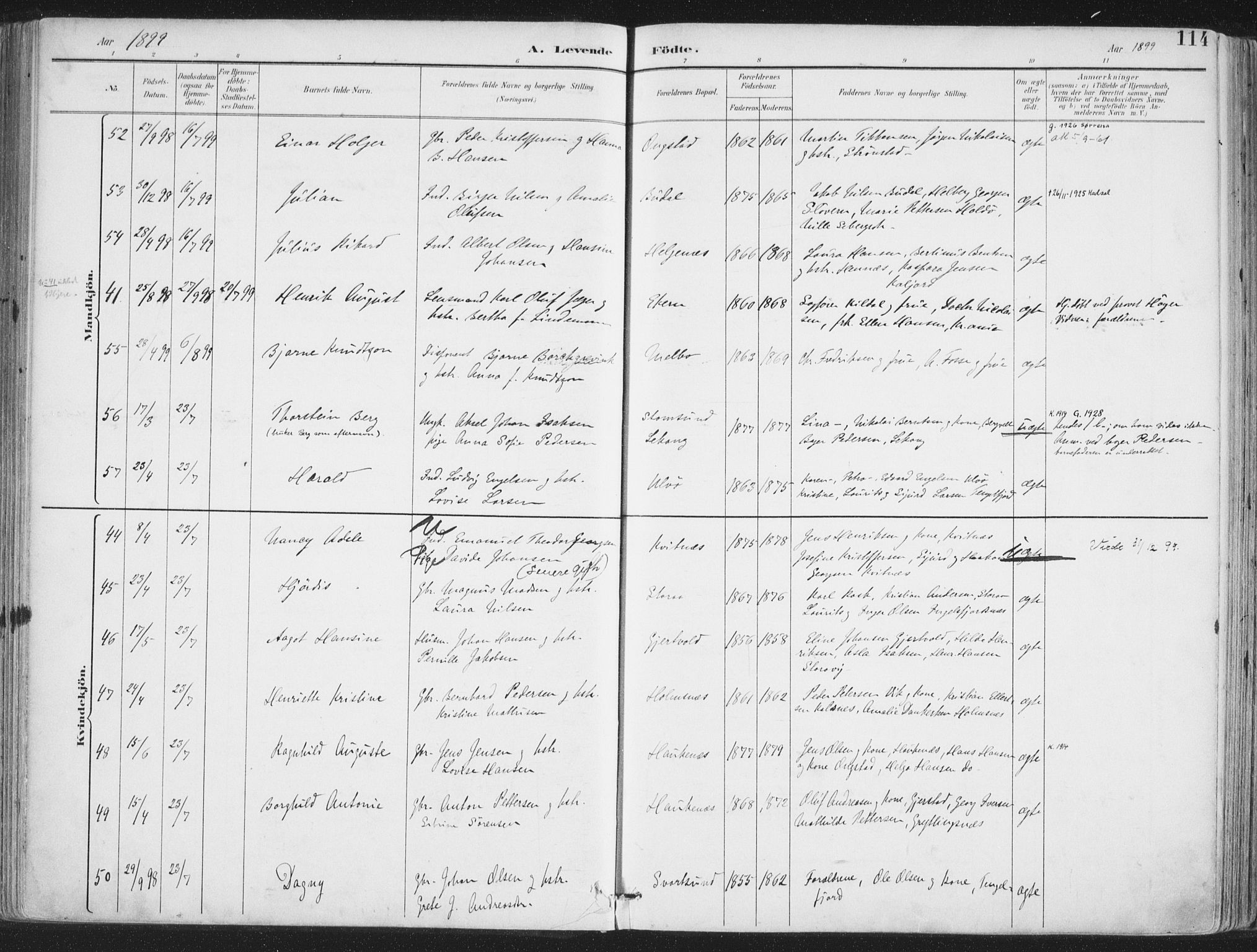 Ministerialprotokoller, klokkerbøker og fødselsregistre - Nordland, AV/SAT-A-1459/888/L1246: Parish register (official) no. 888A12, 1891-1903, p. 114