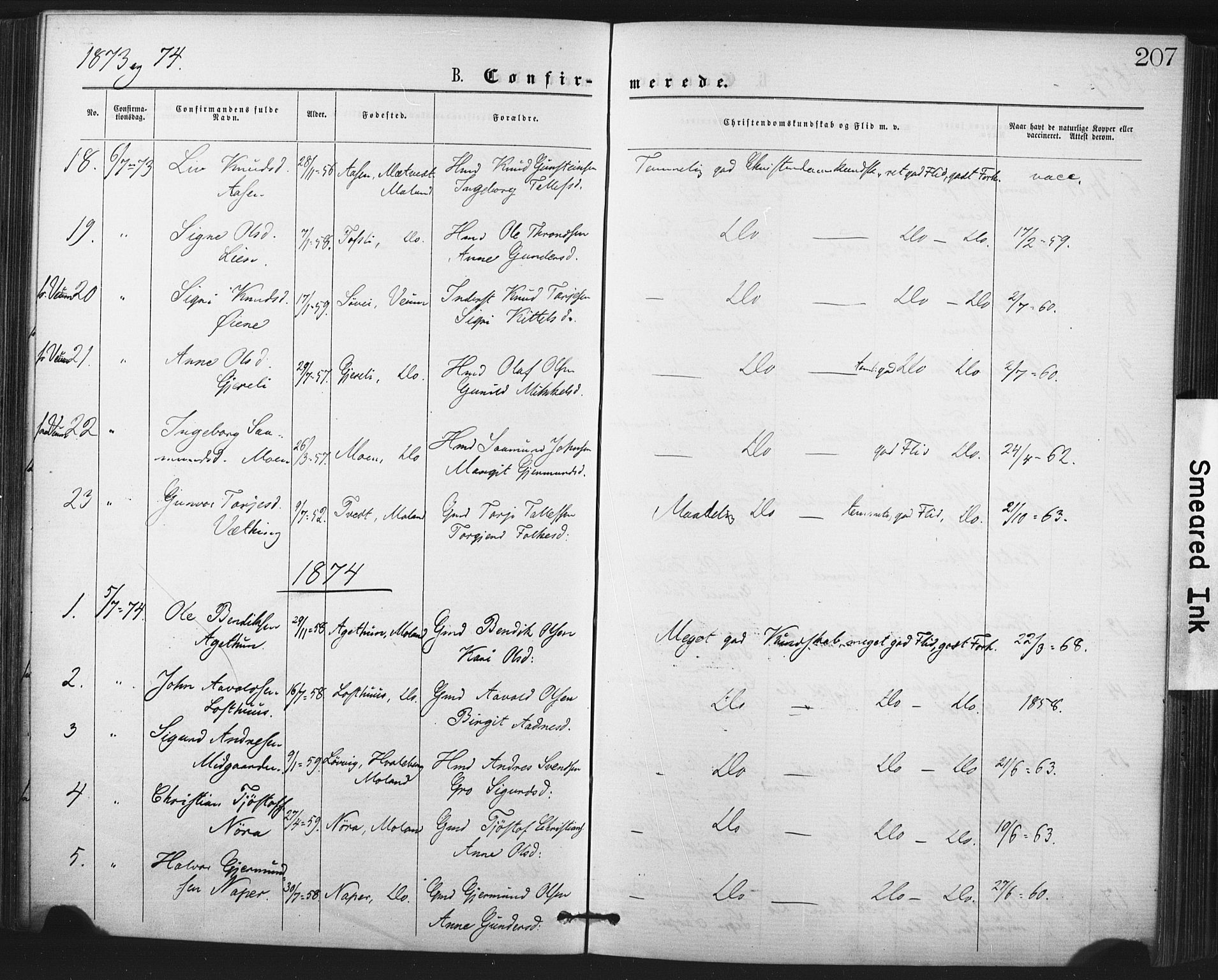 Fyresdal kirkebøker, SAKO/A-263/F/Fa/L0006: Parish register (official) no. I 6, 1872-1886, p. 207