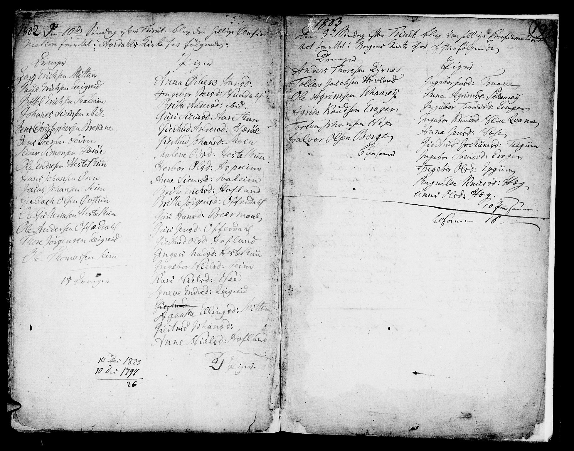 Lærdal sokneprestembete, AV/SAB-A-81201: Parish register (official) no. A 3, 1783-1804, p. 197