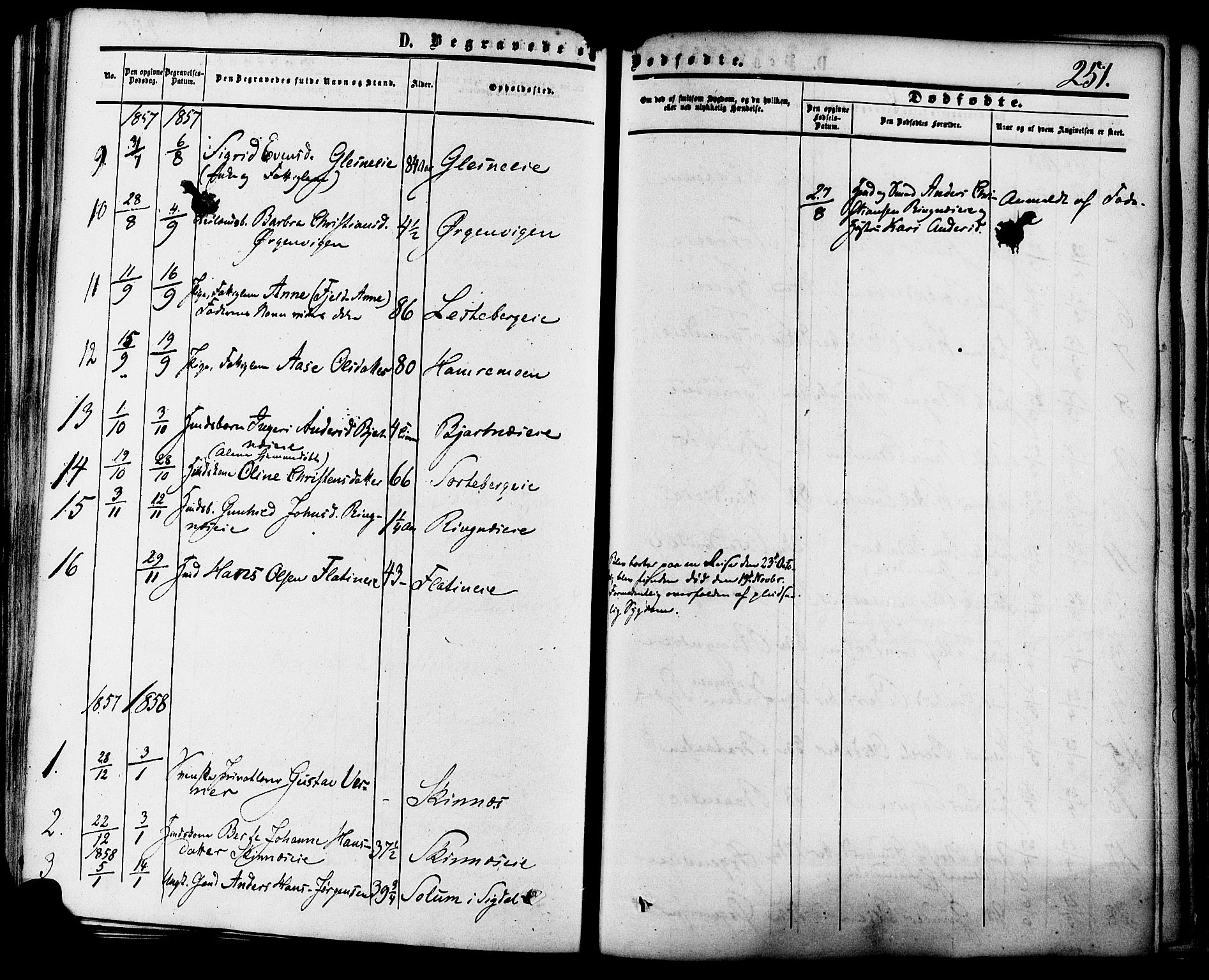 Krødsherad kirkebøker, AV/SAKO-A-19/F/Fa/L0003: Parish register (official) no. 3, 1851-1872, p. 251