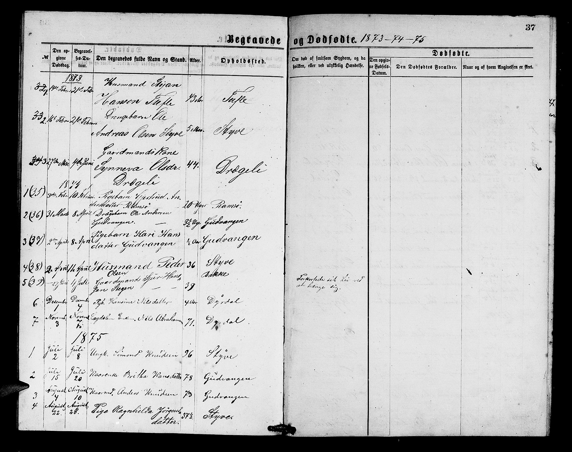 Aurland sokneprestembete, SAB/A-99937/H/Hb/Hbc/L0001: Parish register (copy) no. C 1, 1868-1883, p. 37