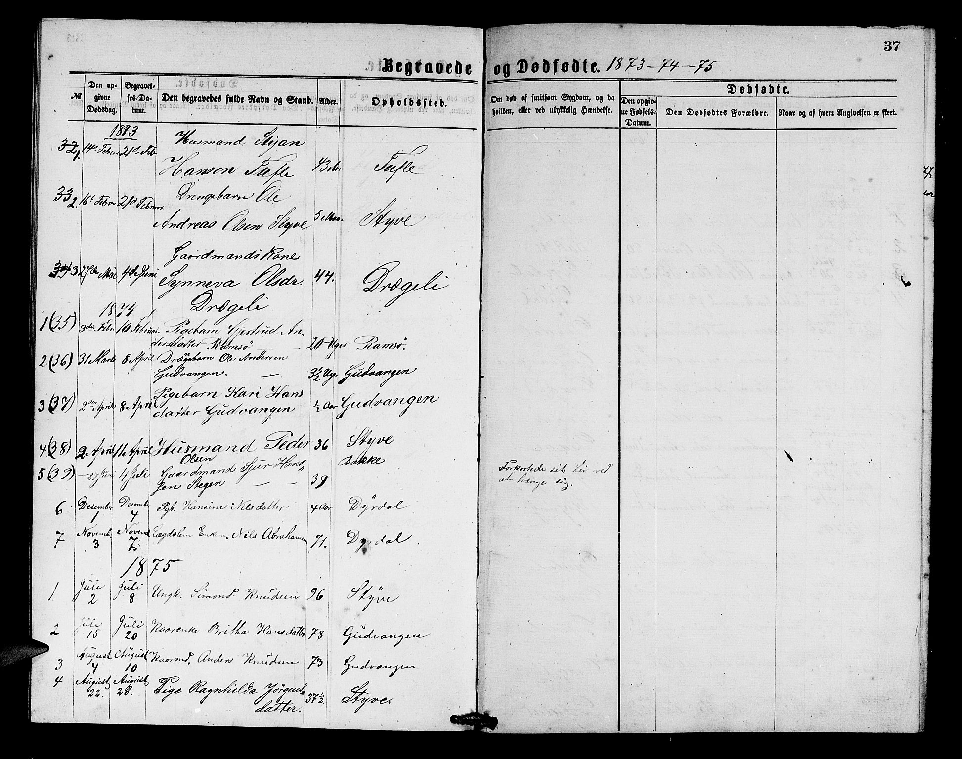 Aurland sokneprestembete, AV/SAB-A-99937/H/Hb/Hbc/L0001: Parish register (copy) no. C 1, 1868-1883, p. 37