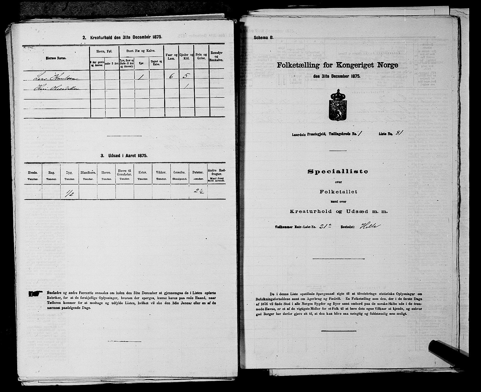 SAKO, 1875 census for 0833P Lårdal, 1875, p. 202