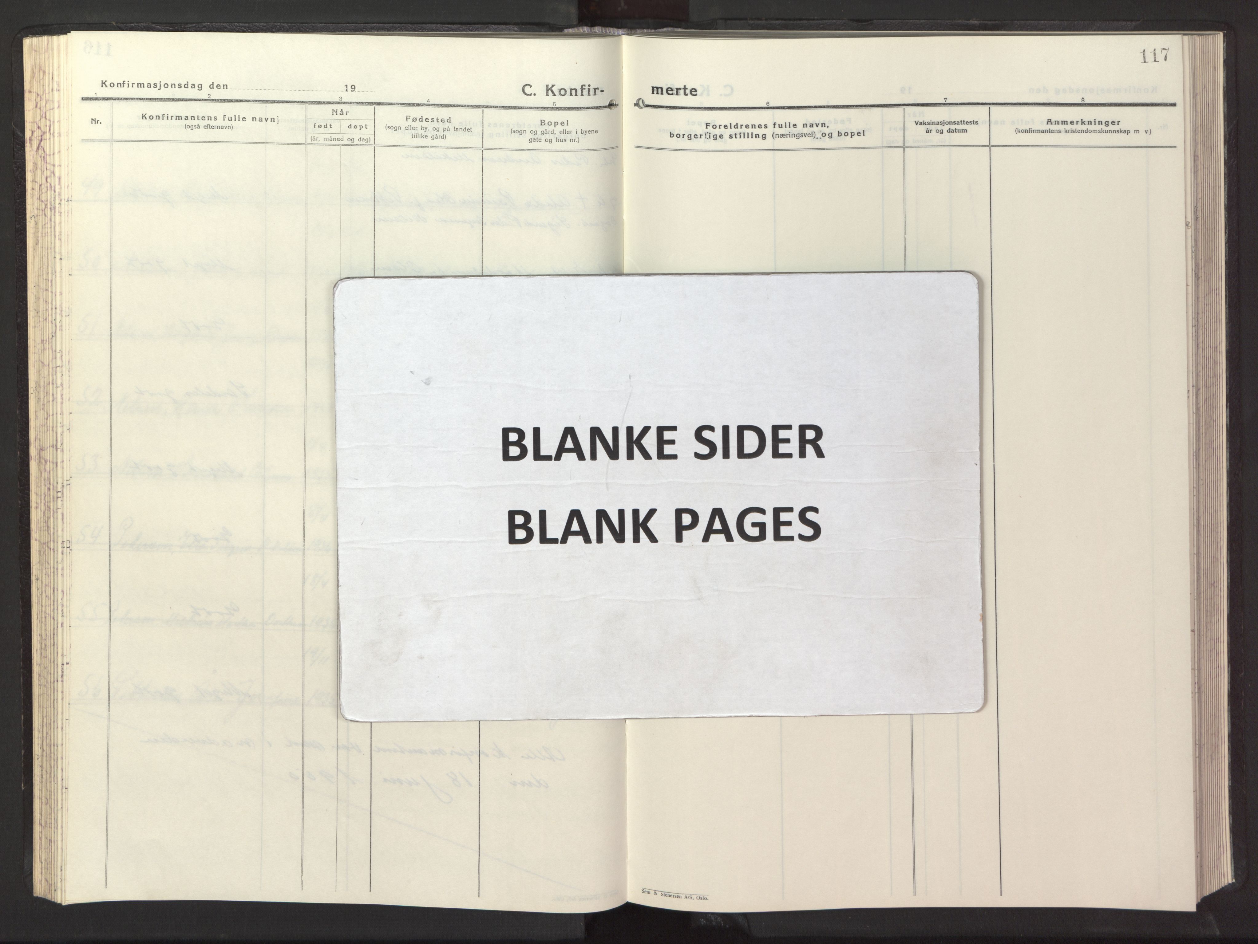 Ministerialprotokoller, klokkerbøker og fødselsregistre - Nordland, AV/SAT-A-1459/861/L0882: Parish register (copy) no. 861C08, 1945-1950, p. 117