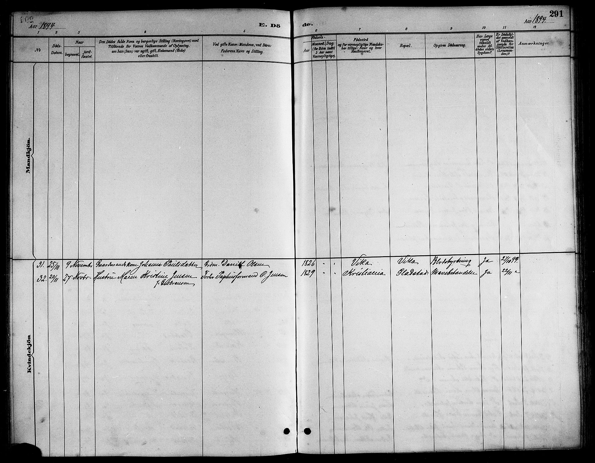 Ministerialprotokoller, klokkerbøker og fødselsregistre - Nordland, AV/SAT-A-1459/816/L0253: Parish register (copy) no. 816C03, 1886-1905, p. 291