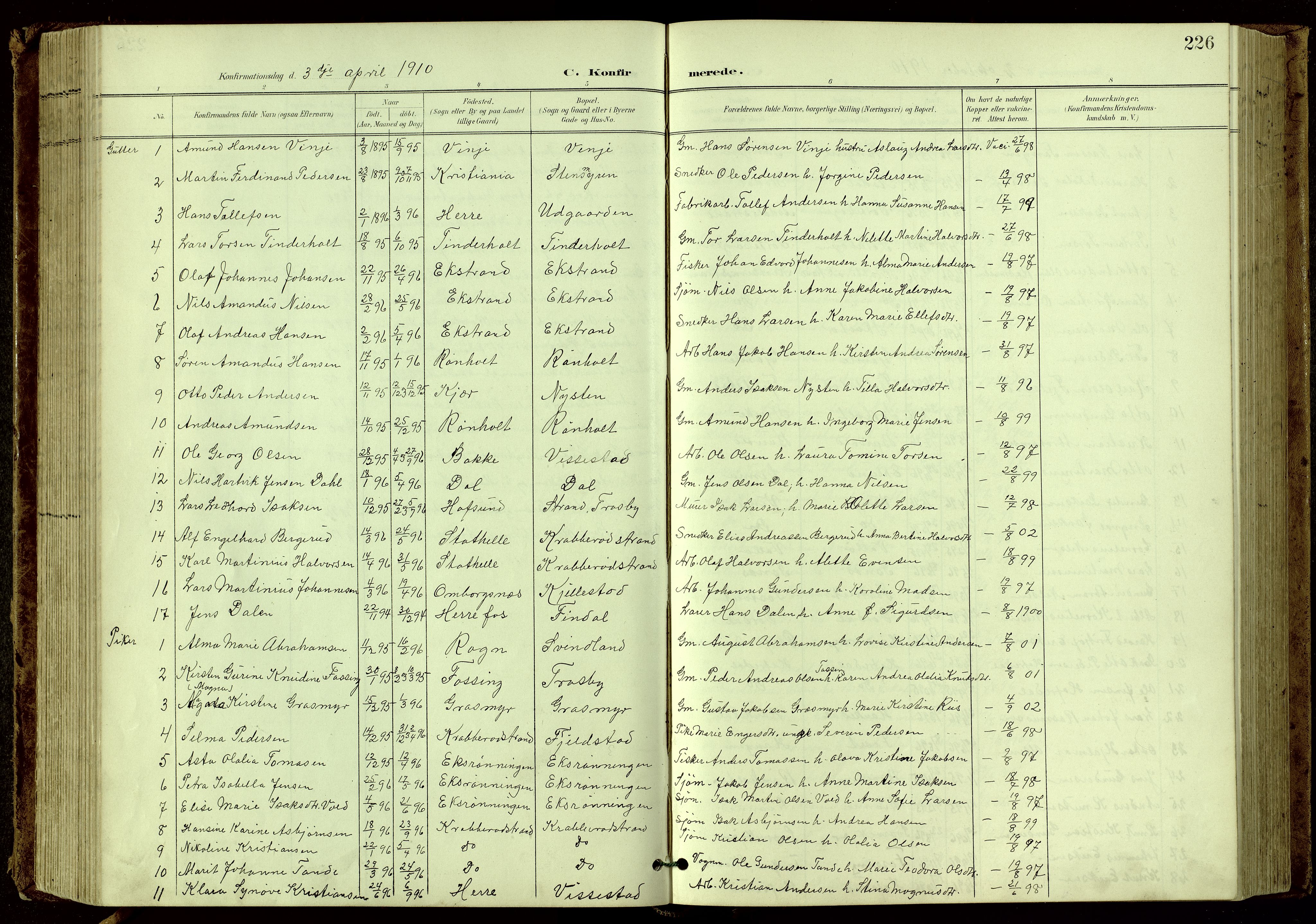 Bamble kirkebøker, SAKO/A-253/G/Ga/L0010: Parish register (copy) no. I 10, 1901-1919, p. 226