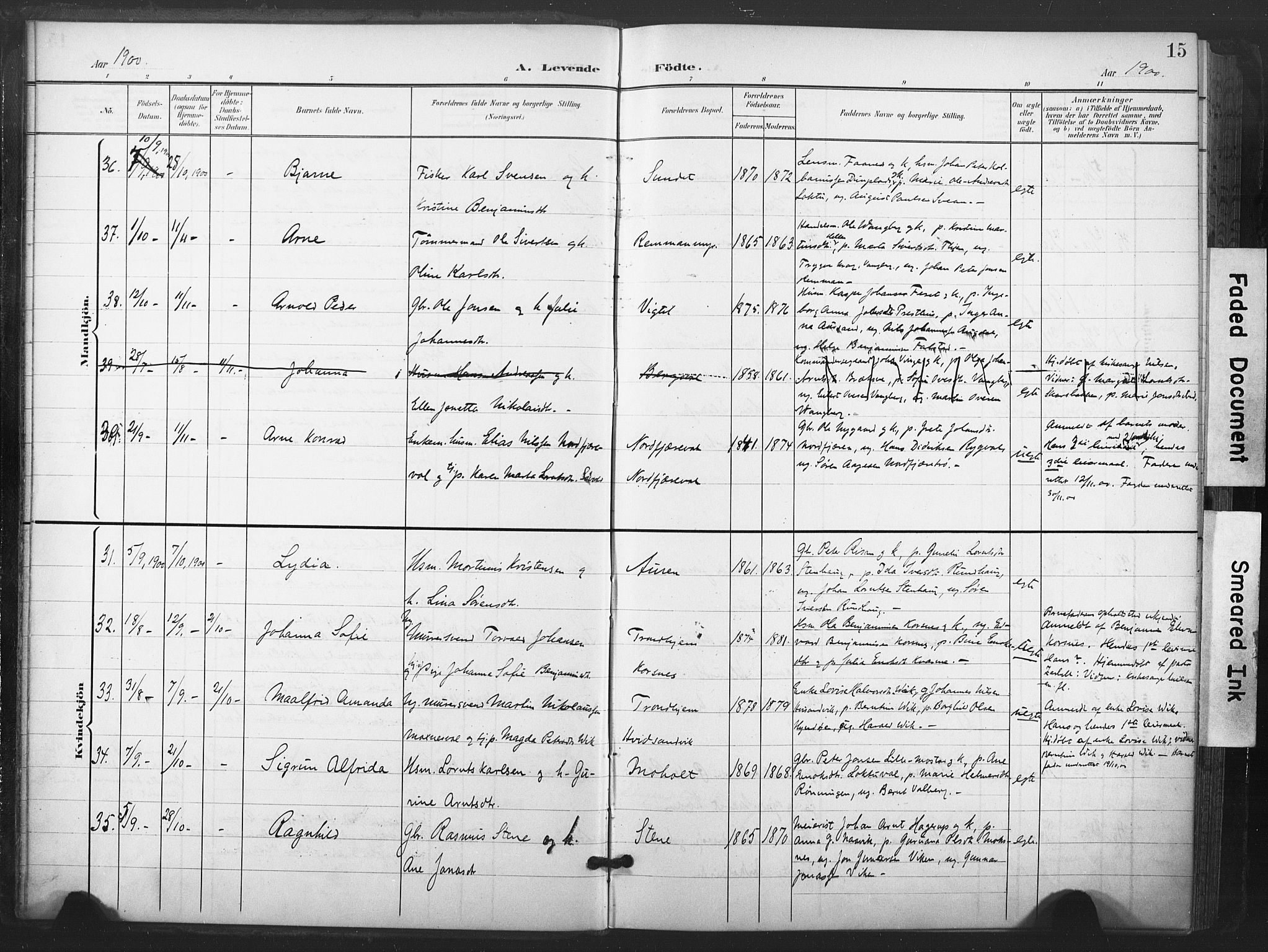 Ministerialprotokoller, klokkerbøker og fødselsregistre - Nord-Trøndelag, SAT/A-1458/713/L0122: Parish register (official) no. 713A11, 1899-1910, p. 15