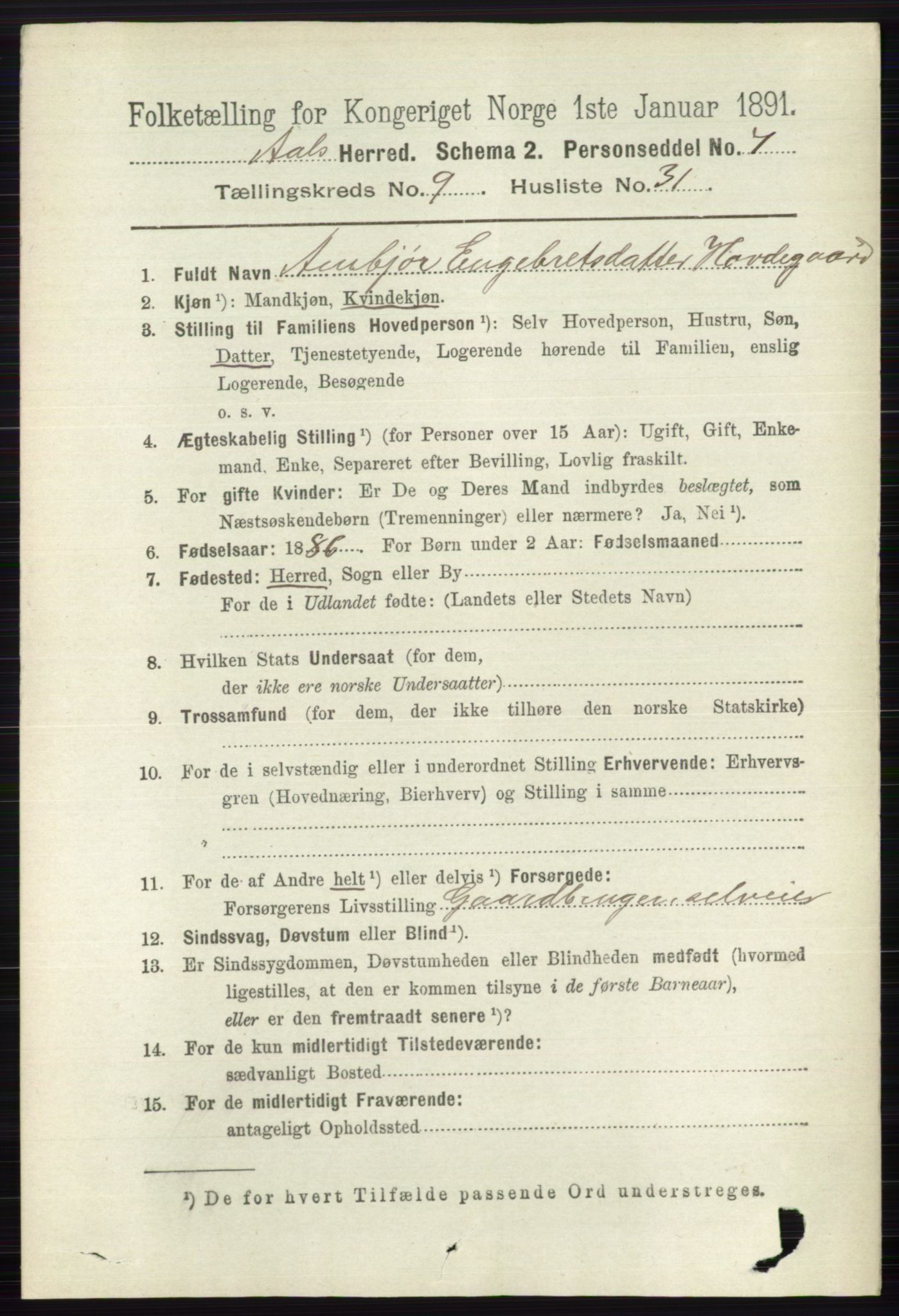 RA, 1891 census for 0619 Ål, 1891, p. 2657