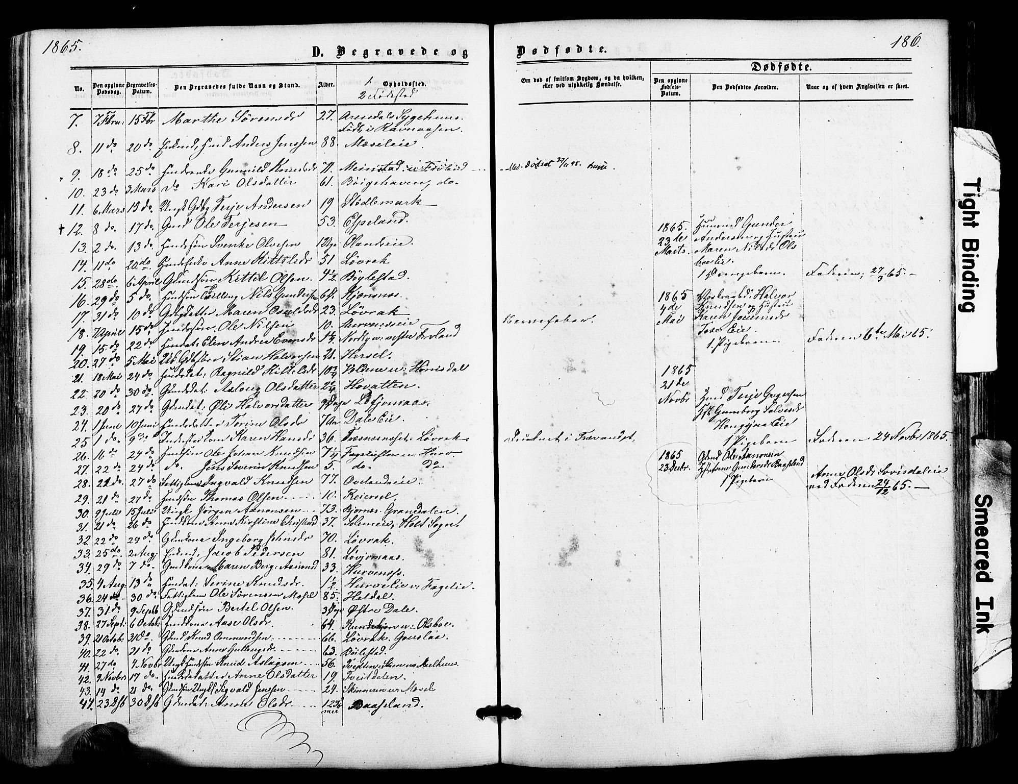 Froland sokneprestkontor, SAK/1111-0013/F/Fa/L0003: Parish register (official) no. A 3, 1864-1881, p. 186