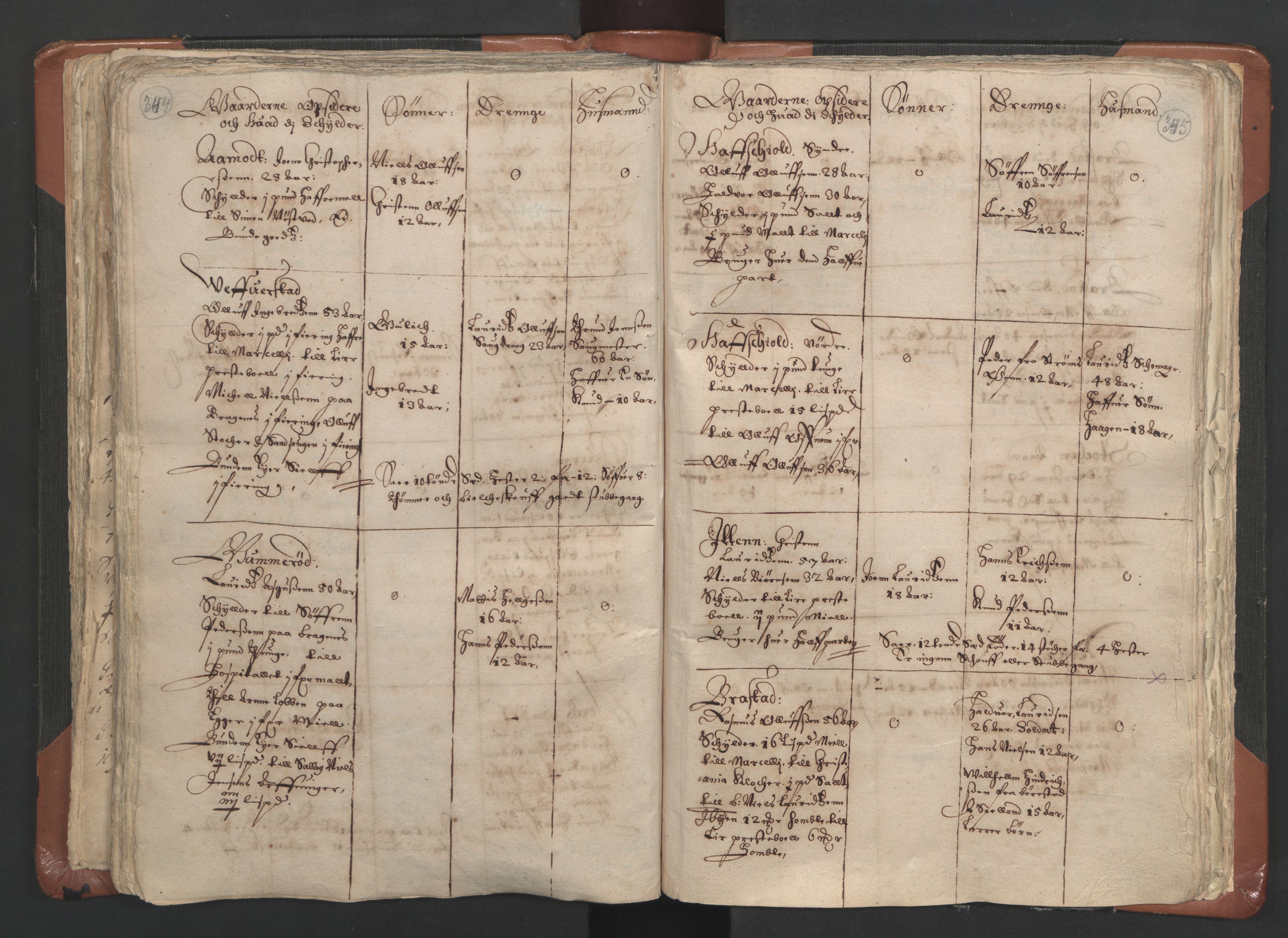 RA, Vicar's Census 1664-1666, no. 9: Bragernes deanery, 1664-1666, p. 344-345