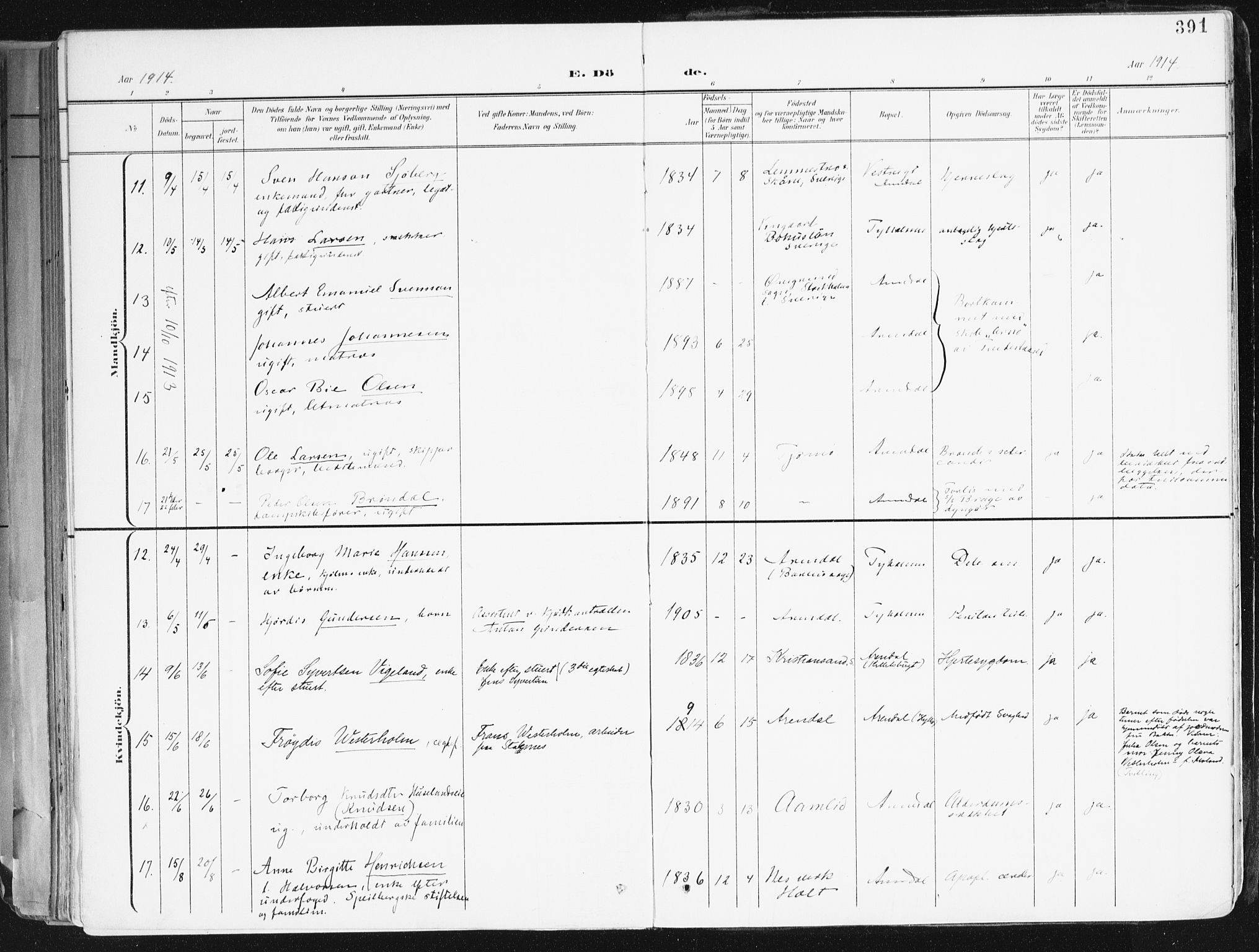 Arendal sokneprestkontor, Trefoldighet, AV/SAK-1111-0040/F/Fa/L0010: Parish register (official) no. A 10, 1900-1919, p. 391