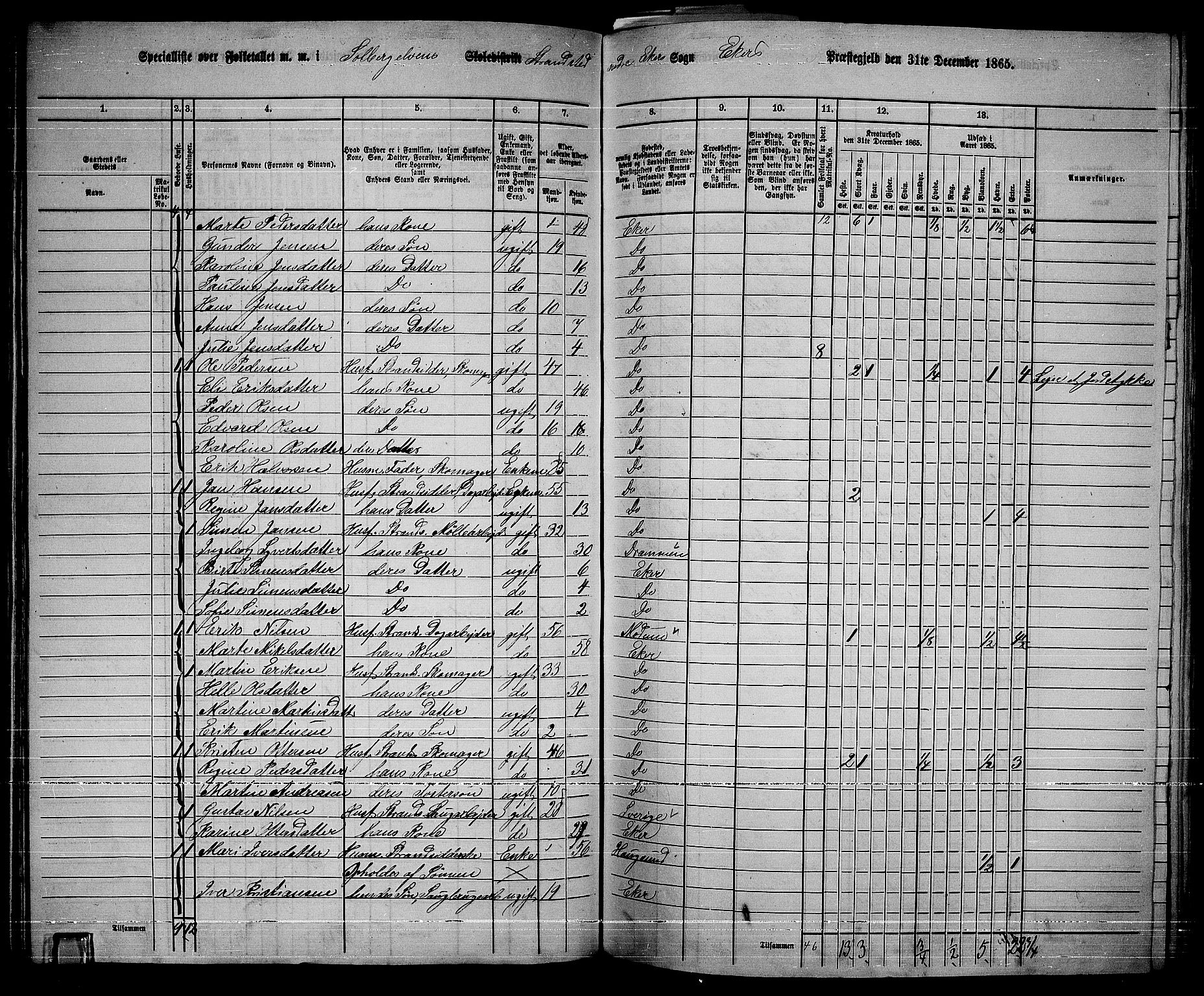 RA, 1865 census for Eiker, 1865, p. 360