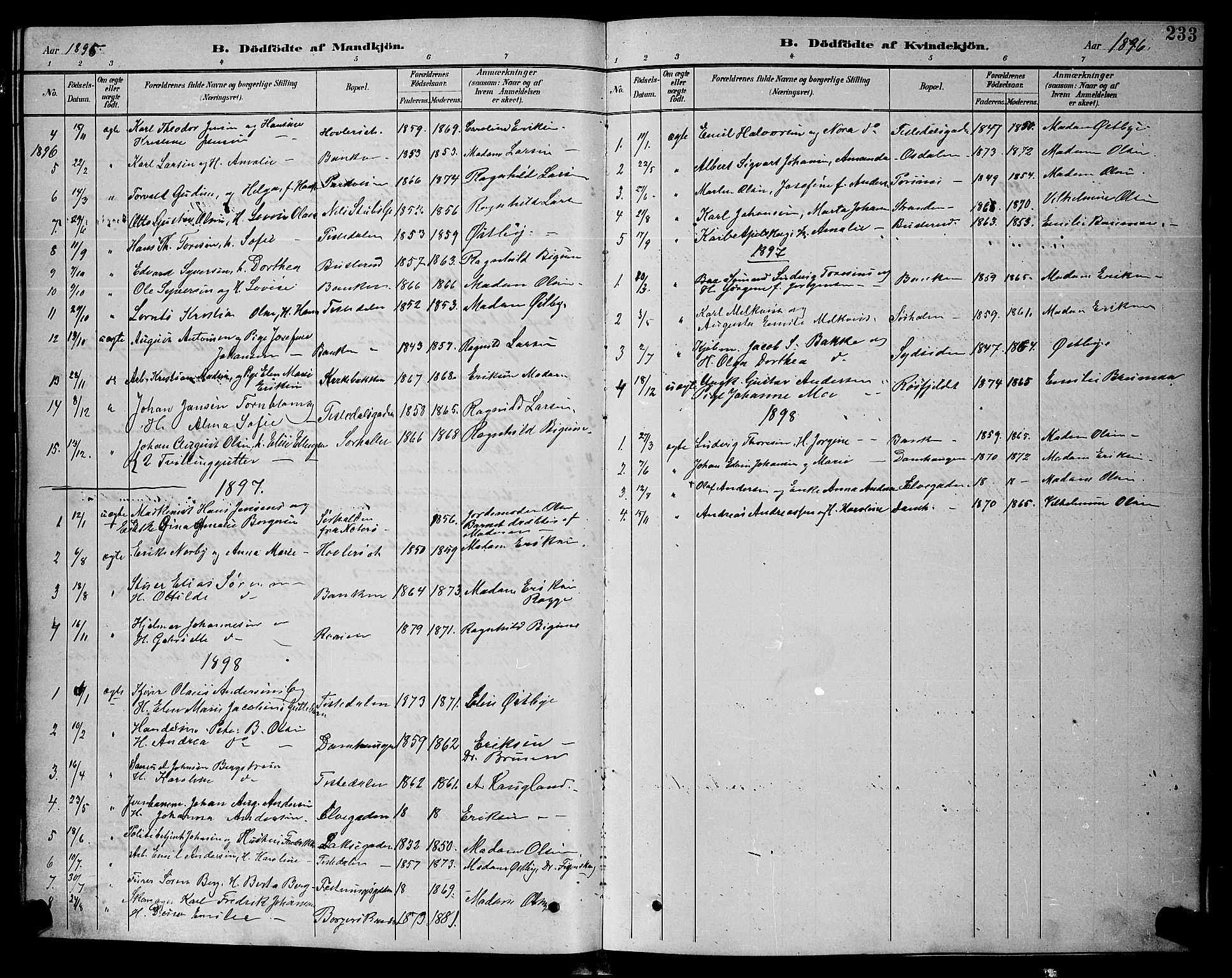 Halden prestekontor Kirkebøker, SAO/A-10909/G/Ga/L0008: Parish register (copy) no. 8, 1885-1899, p. 233