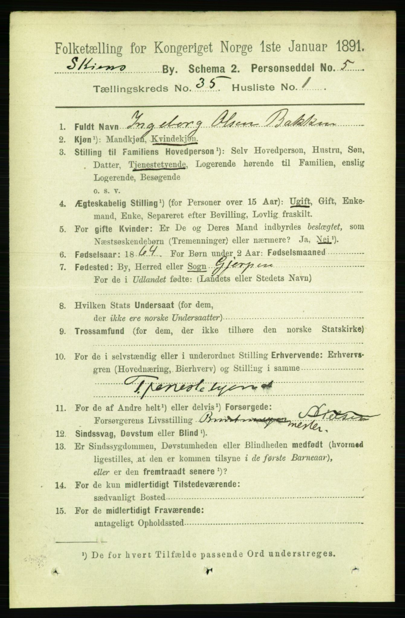 RA, 1891 census for 0806 Skien, 1891, p. 7819