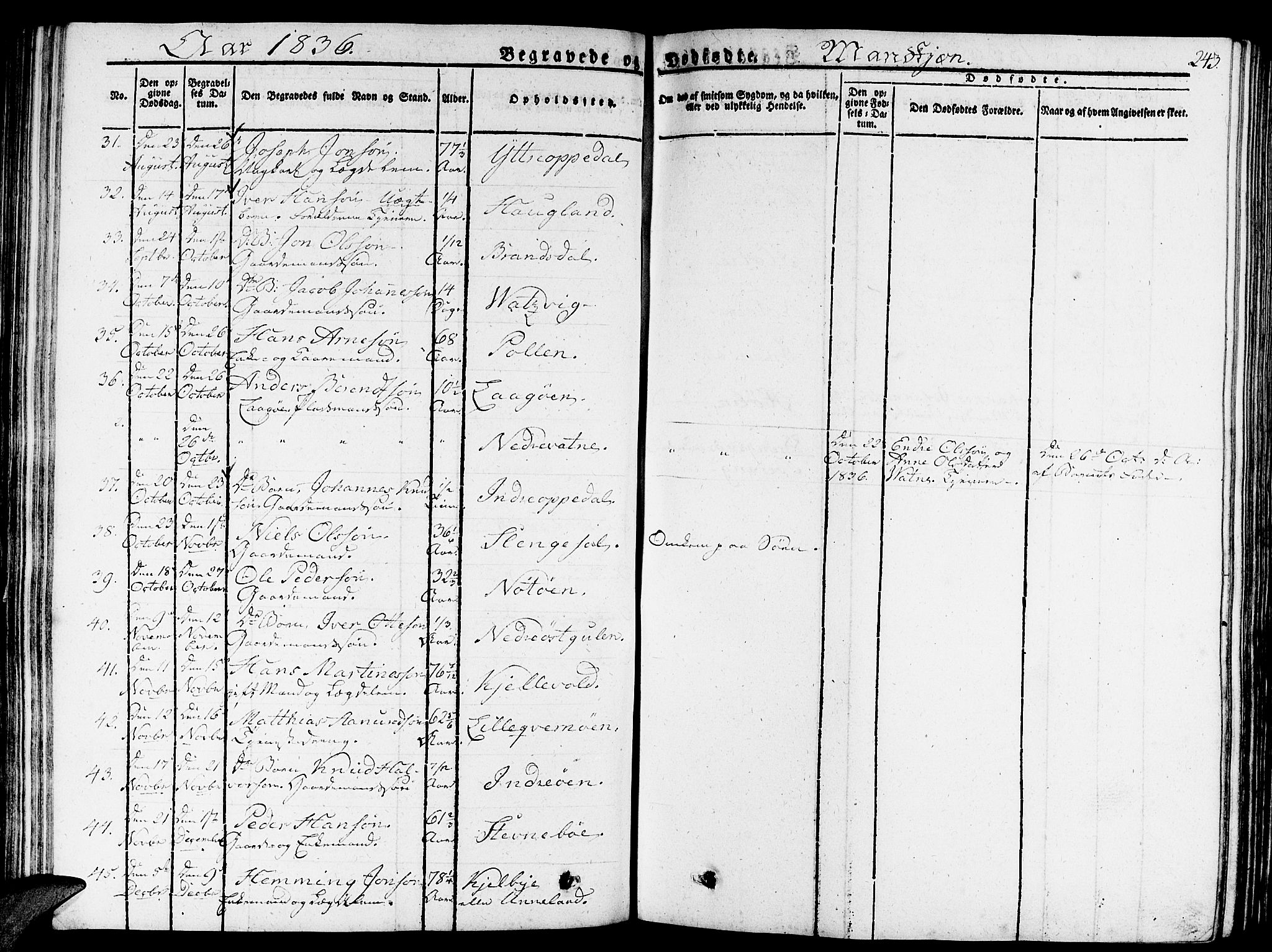 Gulen sokneprestembete, AV/SAB-A-80201/H/Haa/Haaa/L0019: Parish register (official) no. A 19, 1826-1836, p. 243