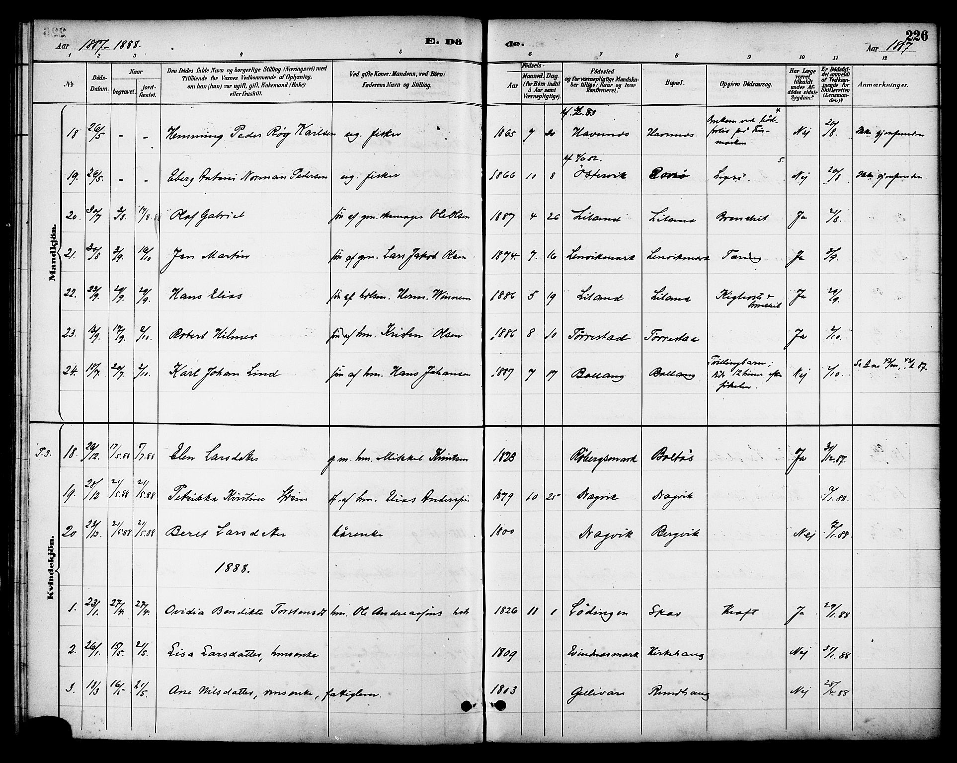 Ministerialprotokoller, klokkerbøker og fødselsregistre - Nordland, SAT/A-1459/863/L0898: Parish register (official) no. 863A10, 1886-1897, p. 226