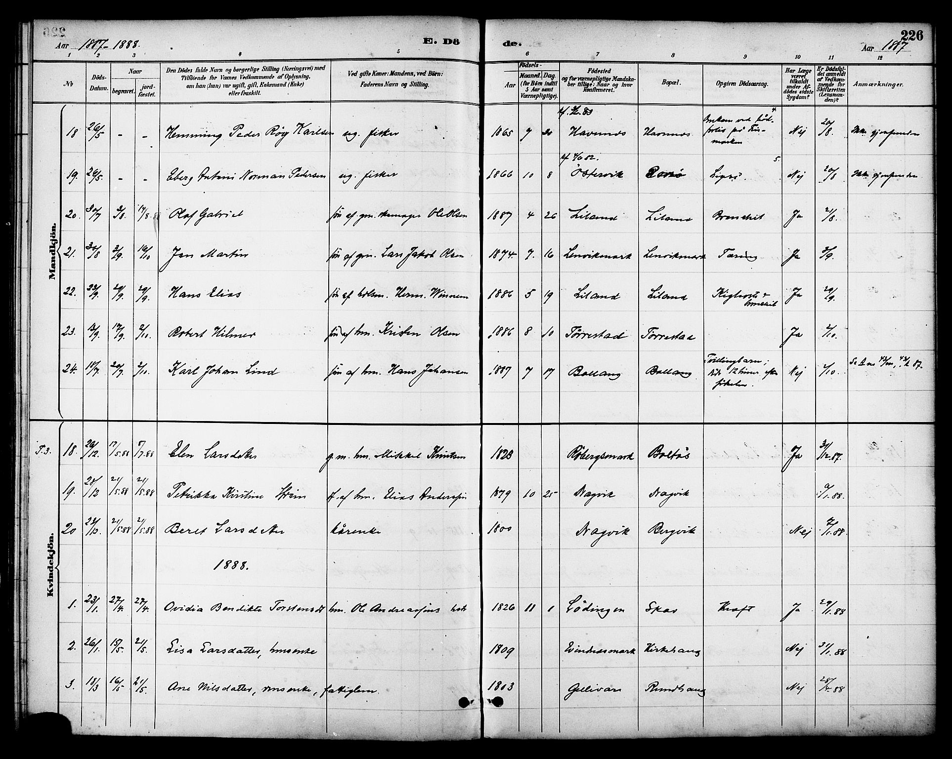 Ministerialprotokoller, klokkerbøker og fødselsregistre - Nordland, AV/SAT-A-1459/863/L0898: Parish register (official) no. 863A10, 1886-1897, p. 226