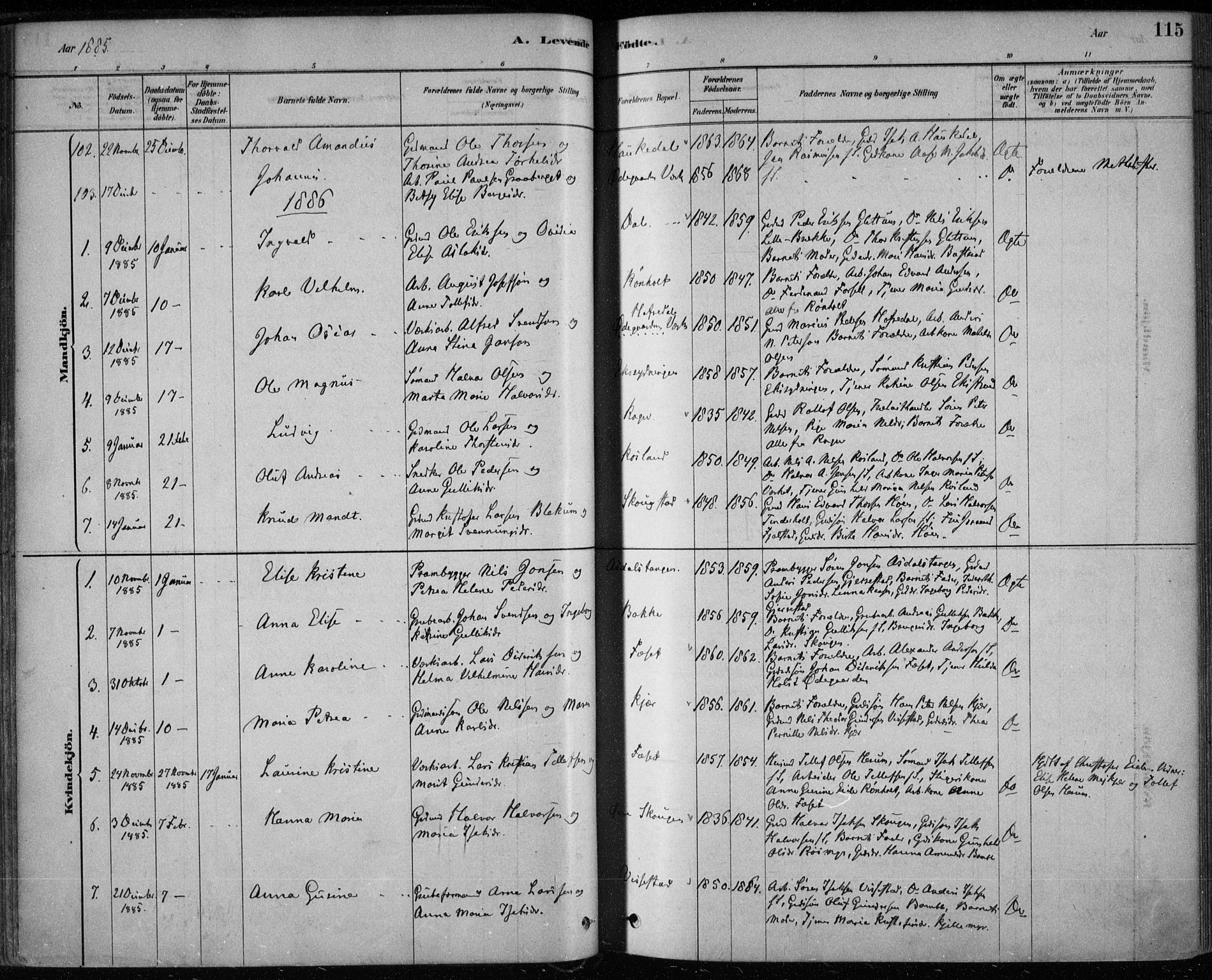 Bamble kirkebøker, SAKO/A-253/F/Fa/L0007: Parish register (official) no. I 7, 1878-1888, p. 115