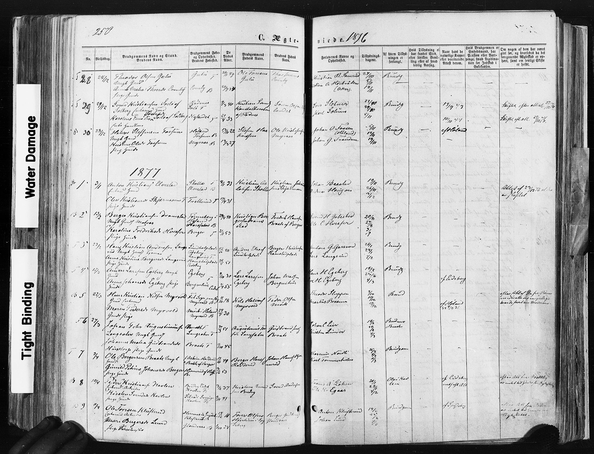 Trøgstad prestekontor Kirkebøker, SAO/A-10925/F/Fa/L0009: Parish register (official) no. I 9, 1865-1877, p. 250