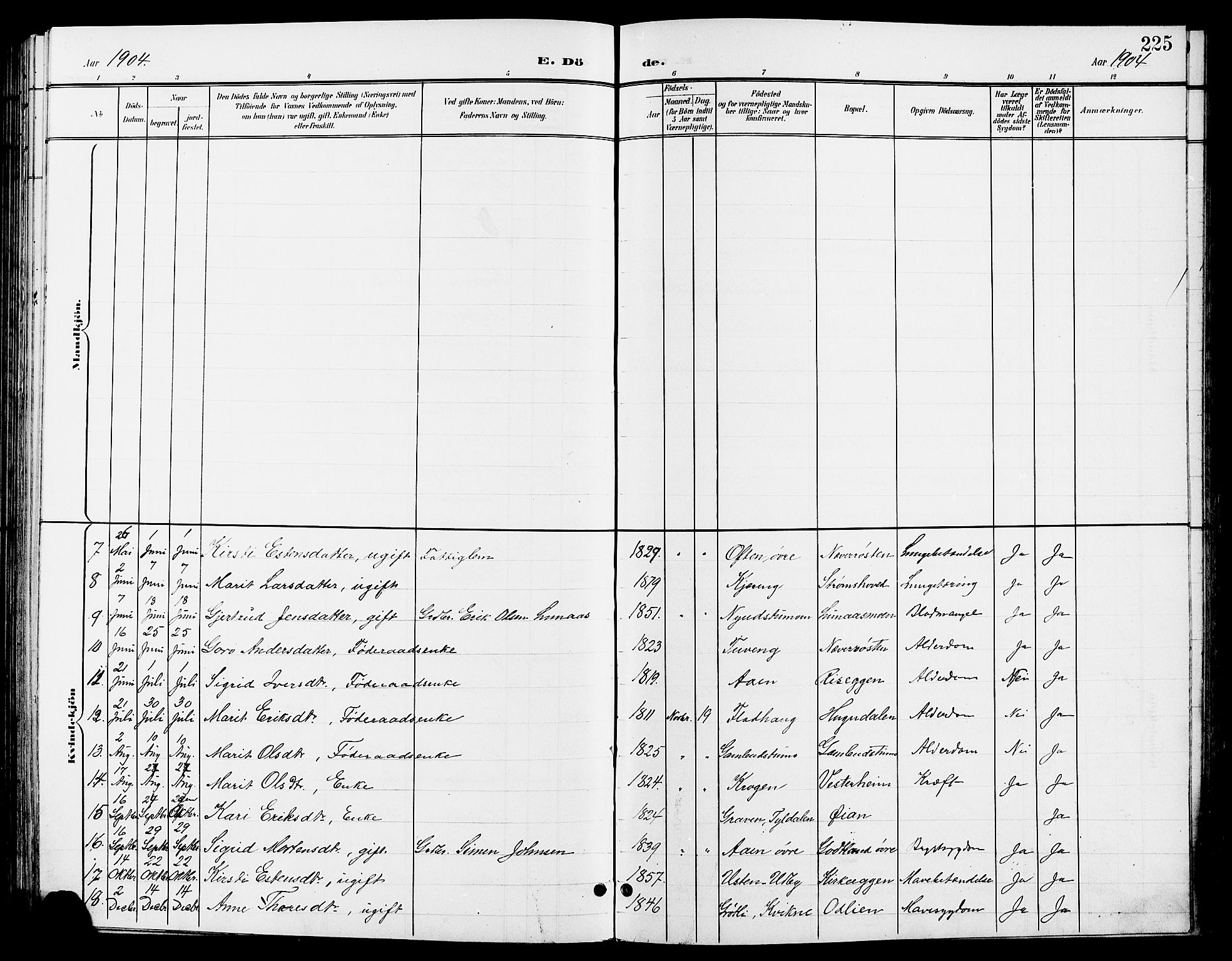 Tynset prestekontor, AV/SAH-PREST-058/H/Ha/Hab/L0009: Parish register (copy) no. 9, 1900-1914, p. 225
