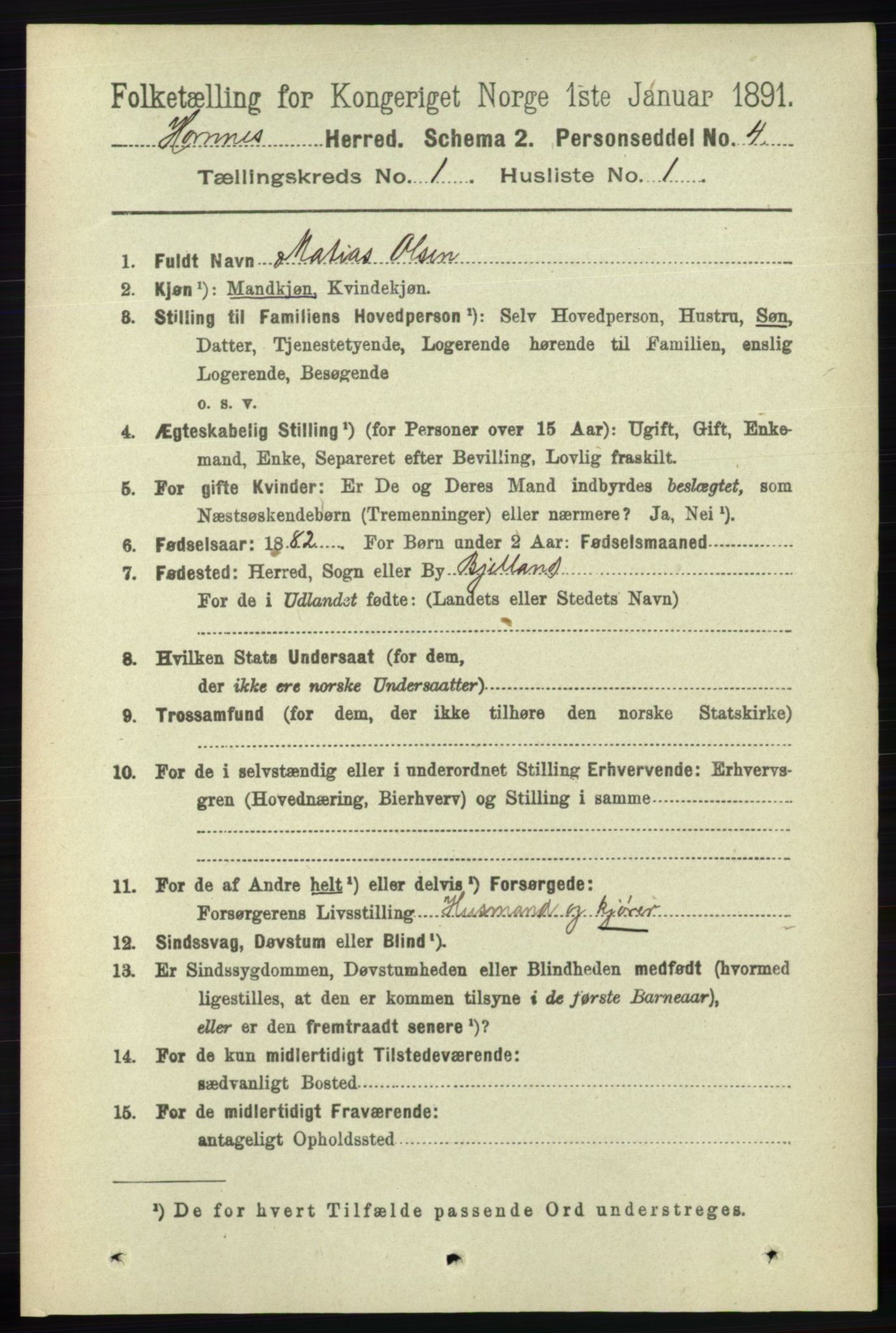 RA, 1891 census for 0936 Hornnes, 1891, p. 41