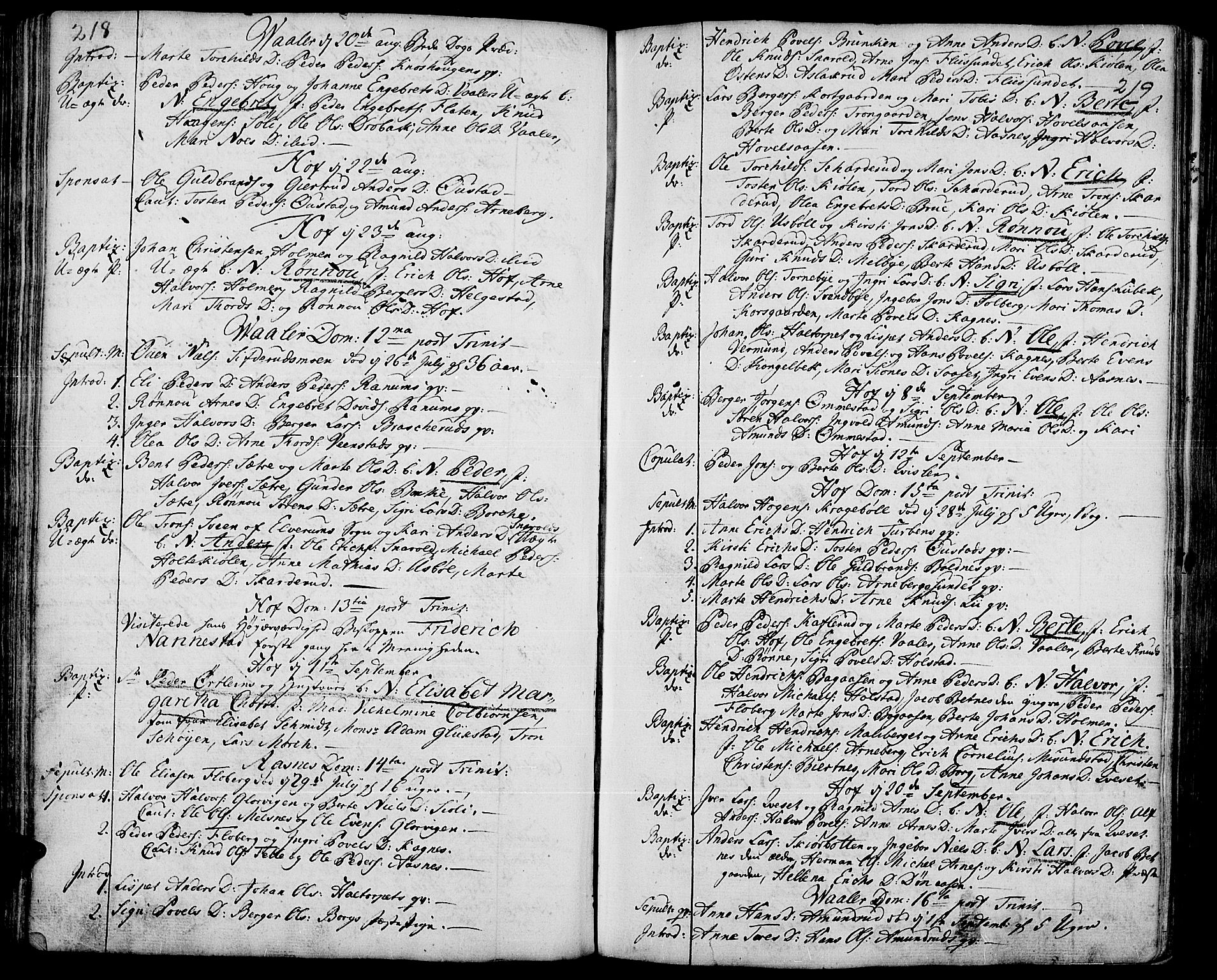 Hof prestekontor, AV/SAH-PREST-038/H/Ha/Haa/L0003: Parish register (official) no. 3, 1750-1789, p. 218-219