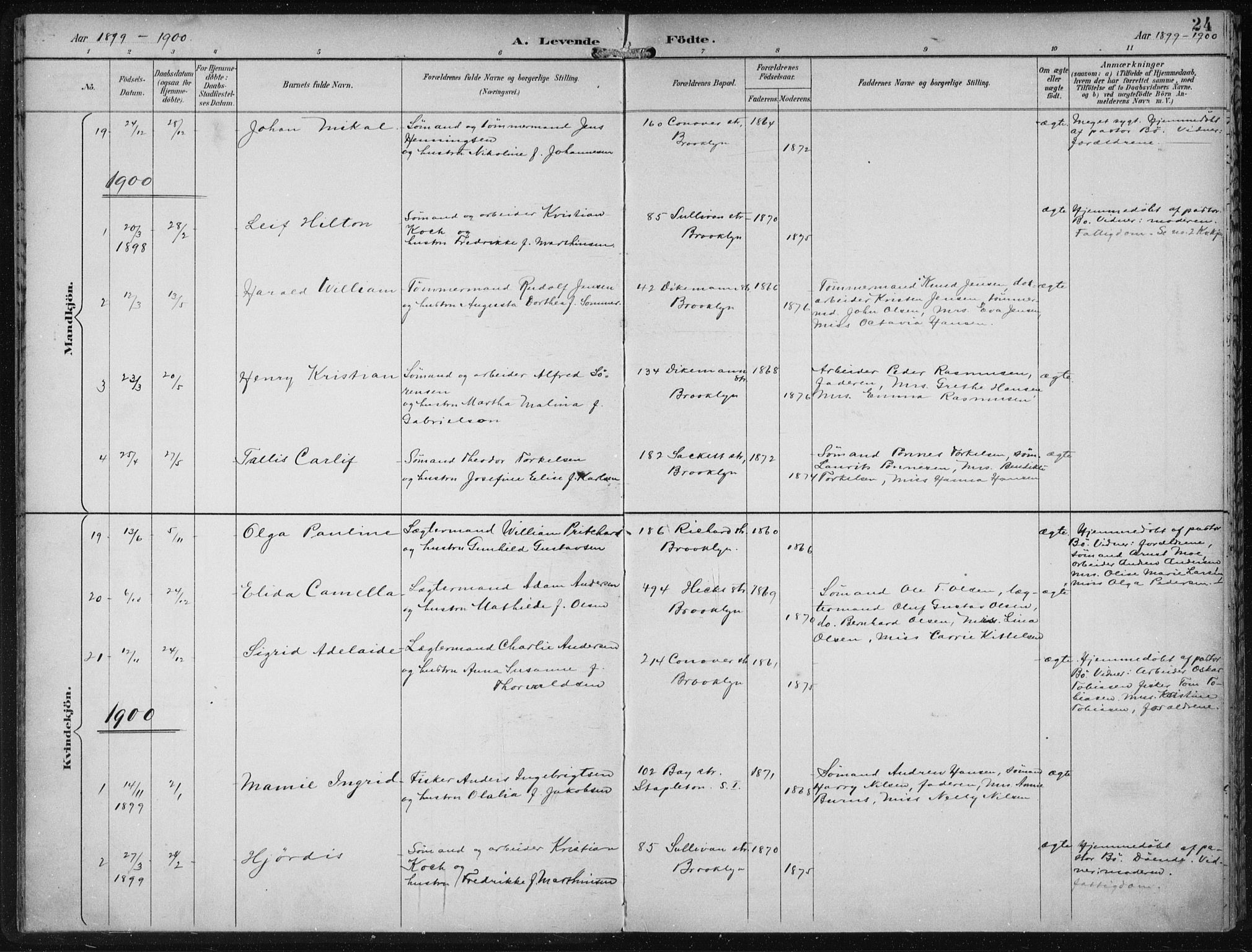 Den norske sjømannsmisjon i utlandet/New York, SAB/SAB/PA-0110/H/Ha/L0004: Parish register (official) no. A 4, 1893-1901, p. 24