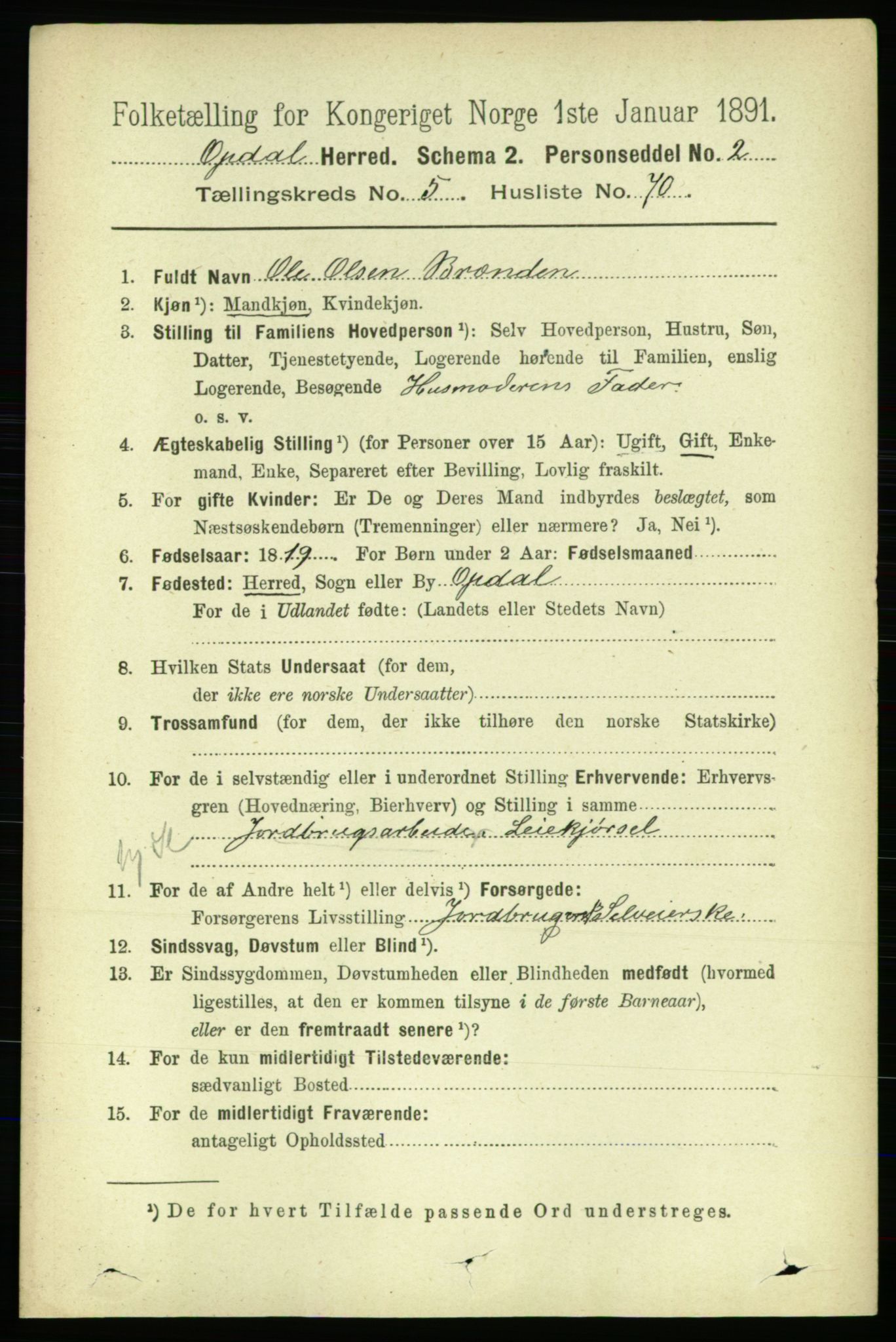 RA, 1891 census for 1634 Oppdal, 1891, p. 2664