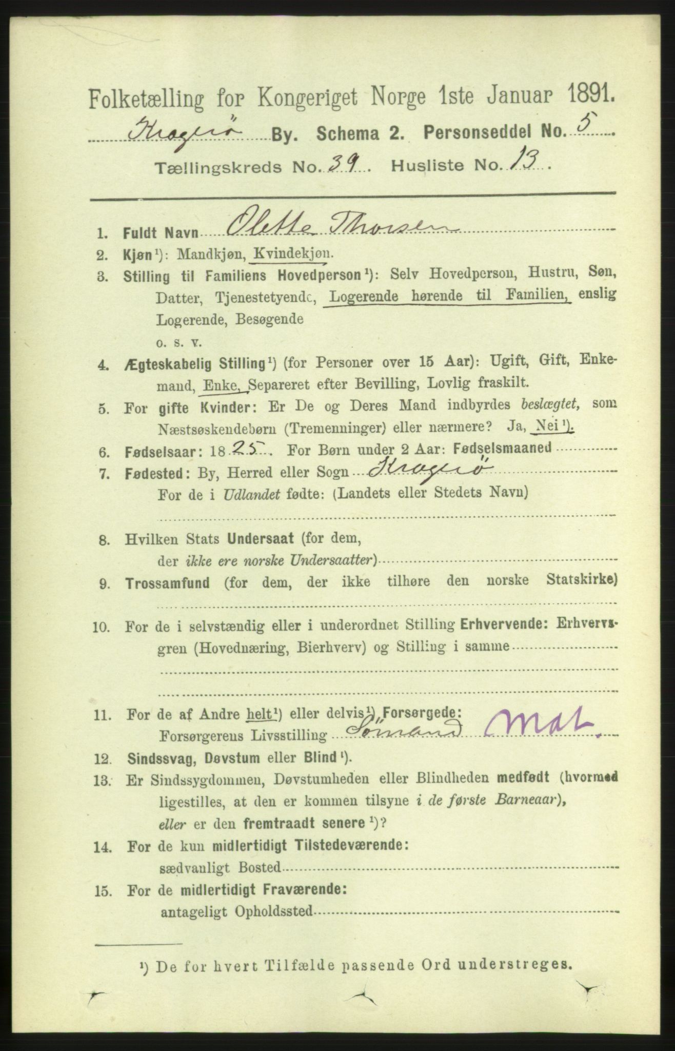 RA, 1891 census for 0801 Kragerø, 1891, p. 7391