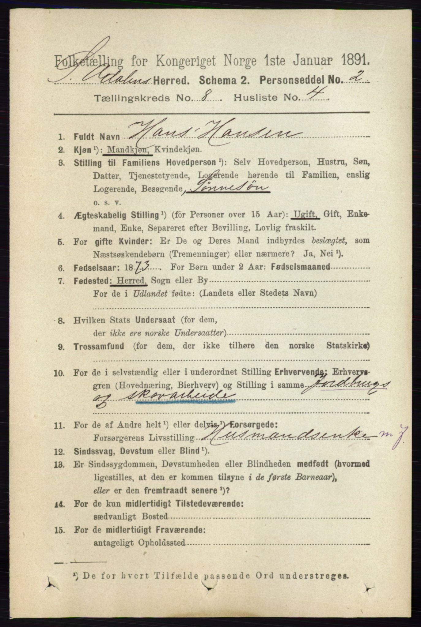 RA, 1891 census for 0419 Sør-Odal, 1891, p. 3994