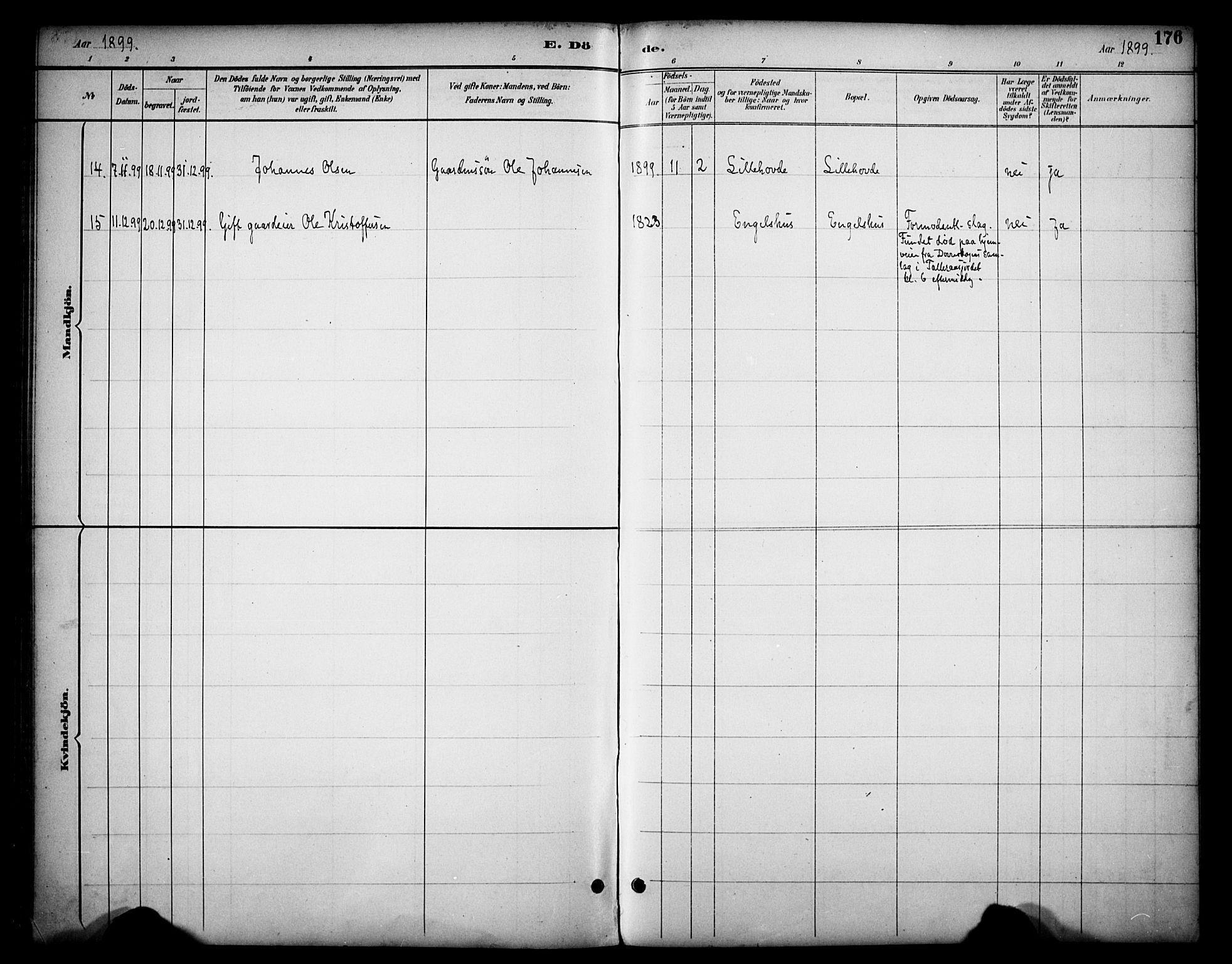 Dovre prestekontor, SAH/PREST-066/H/Ha/Haa/L0003: Parish register (official) no. 3, 1891-1901, p. 176