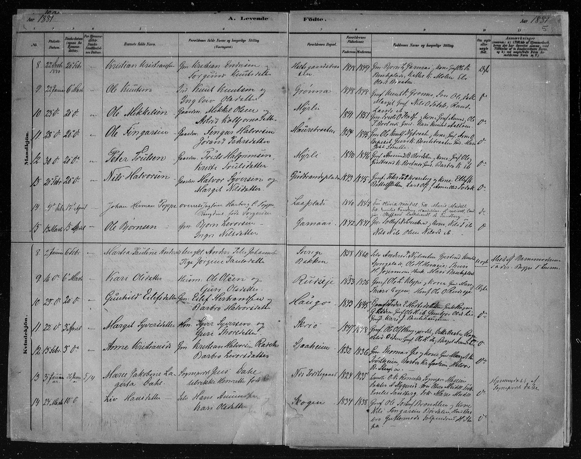 Nes kirkebøker, AV/SAKO-A-236/F/Fa/L0011: Parish register (official) no. 11, 1881-1912, p. 5