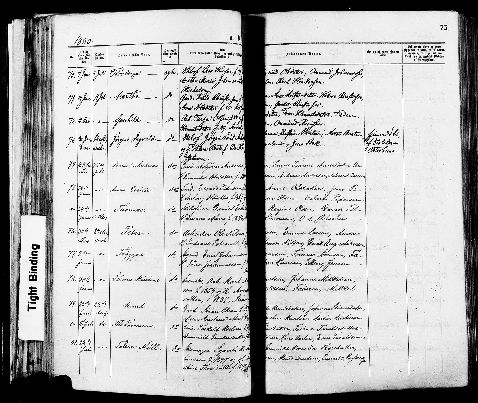 Øyestad sokneprestkontor, AV/SAK-1111-0049/F/Fa/L0016: Parish register (official) no. A 16, 1874-1886, p. 75