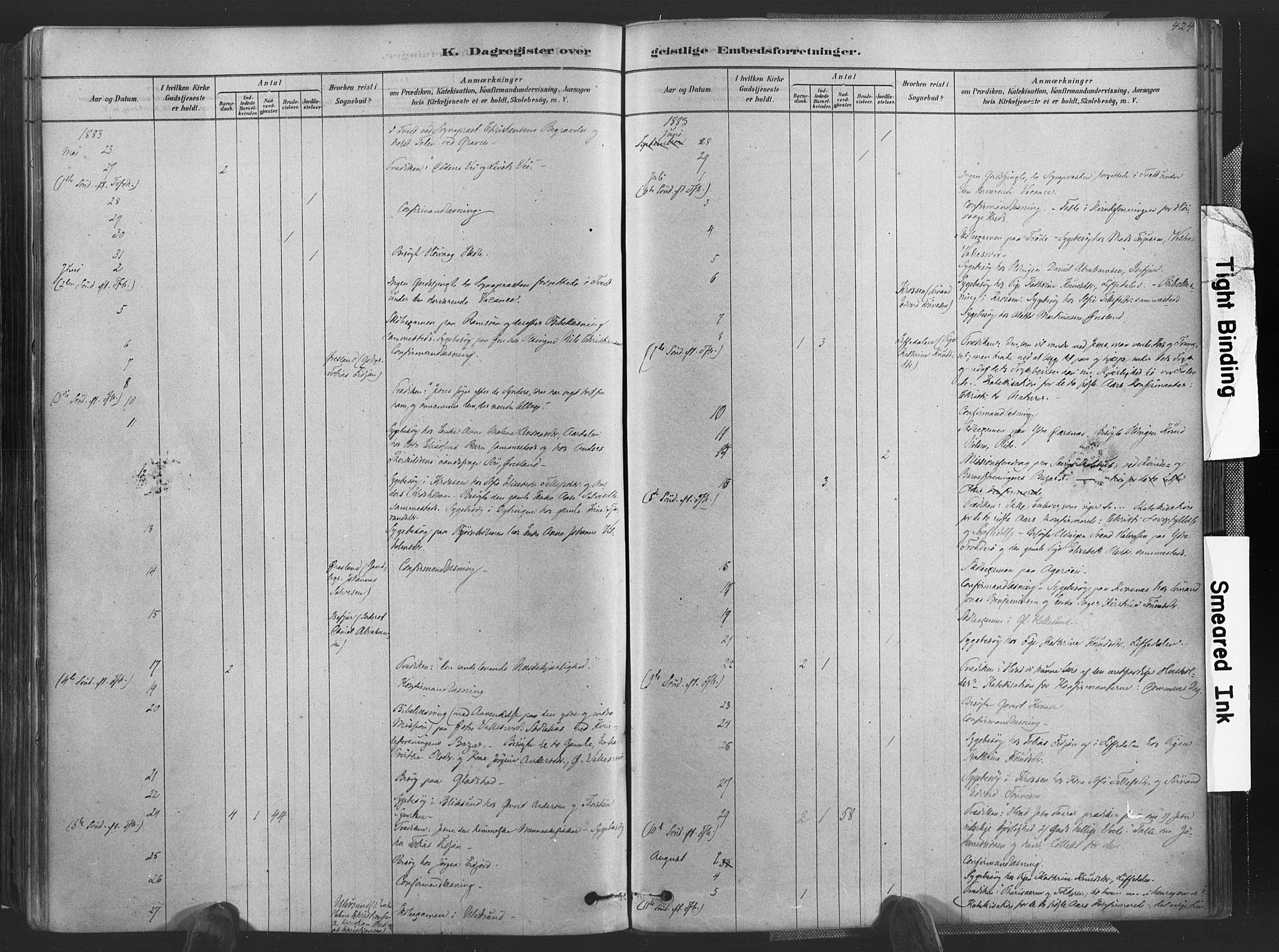 Høvåg sokneprestkontor, AV/SAK-1111-0025/F/Fa/L0005: Parish register (official) no. A 5, 1878-1893, p. 424