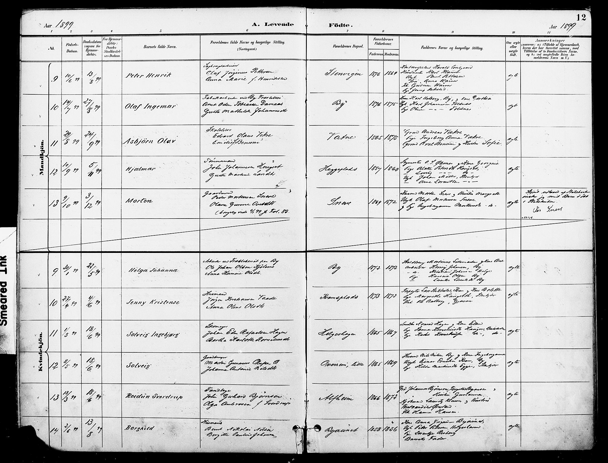 Ministerialprotokoller, klokkerbøker og fødselsregistre - Nord-Trøndelag, AV/SAT-A-1458/740/L0379: Parish register (official) no. 740A02, 1895-1907, p. 12