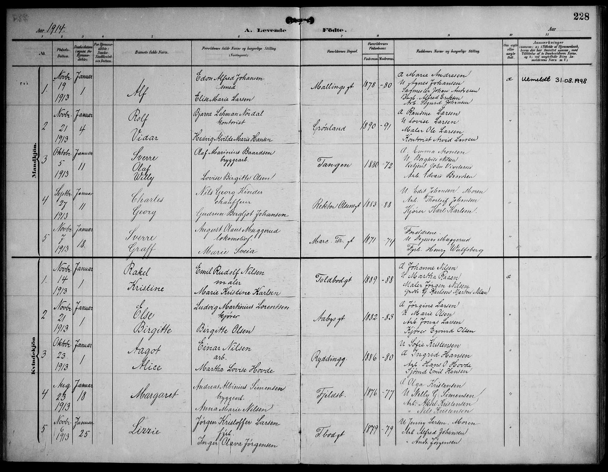 Strømsø kirkebøker, SAKO/A-246/F/Fa/L0026: Parish register (official) no. I 26, 1905-1914, p. 228