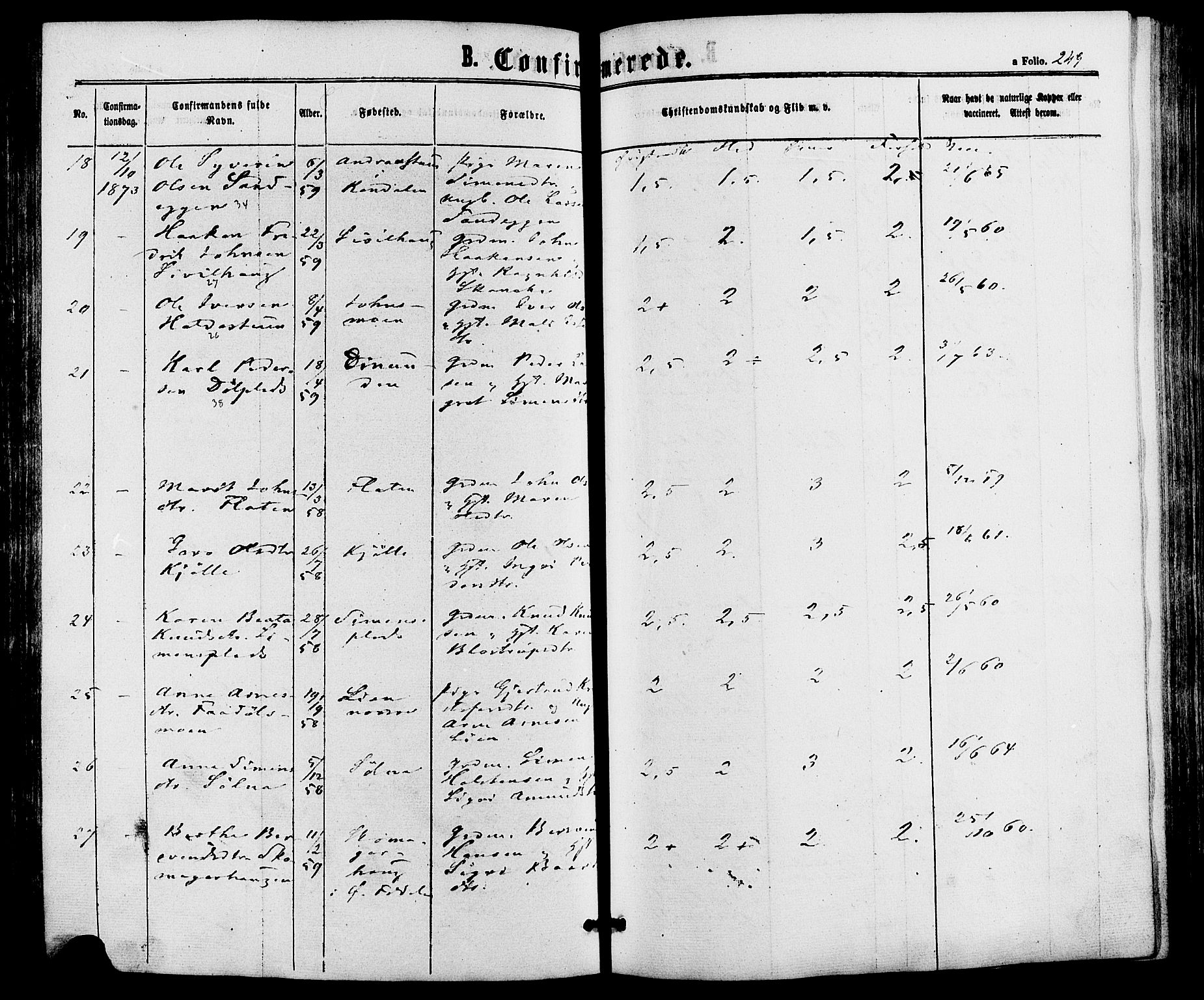 Alvdal prestekontor, SAH/PREST-060/H/Ha/Haa/L0001: Parish register (official) no. 1, 1863-1882, p. 249