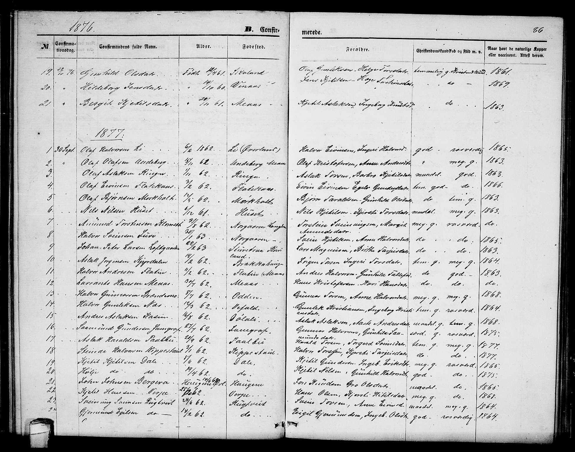 Seljord kirkebøker, SAKO/A-20/G/Ga/L0004: Parish register (copy) no. I 4, 1873-1886, p. 86