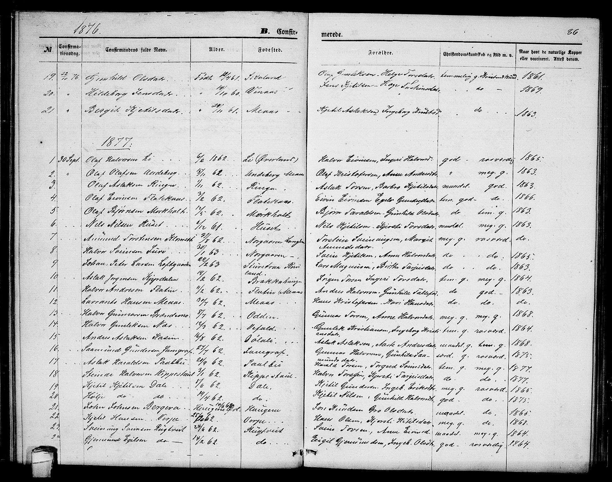 Seljord kirkebøker, AV/SAKO-A-20/G/Ga/L0004: Parish register (copy) no. I 4, 1873-1886, p. 86