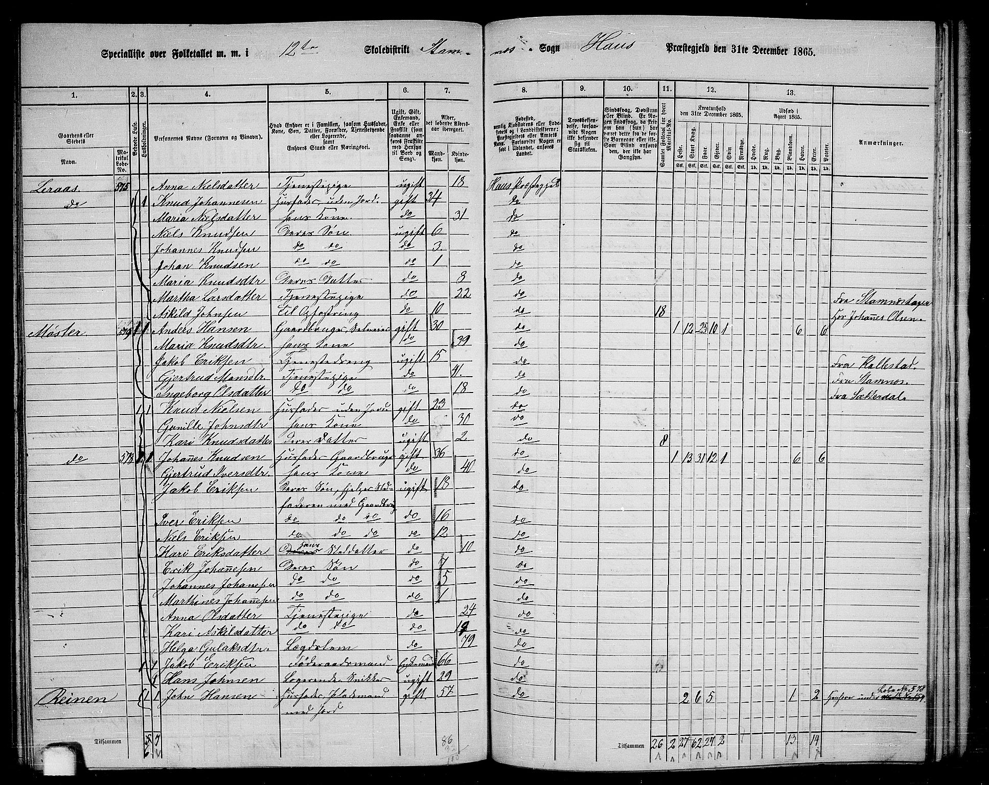 RA, 1865 census for Haus, 1865, p. 236