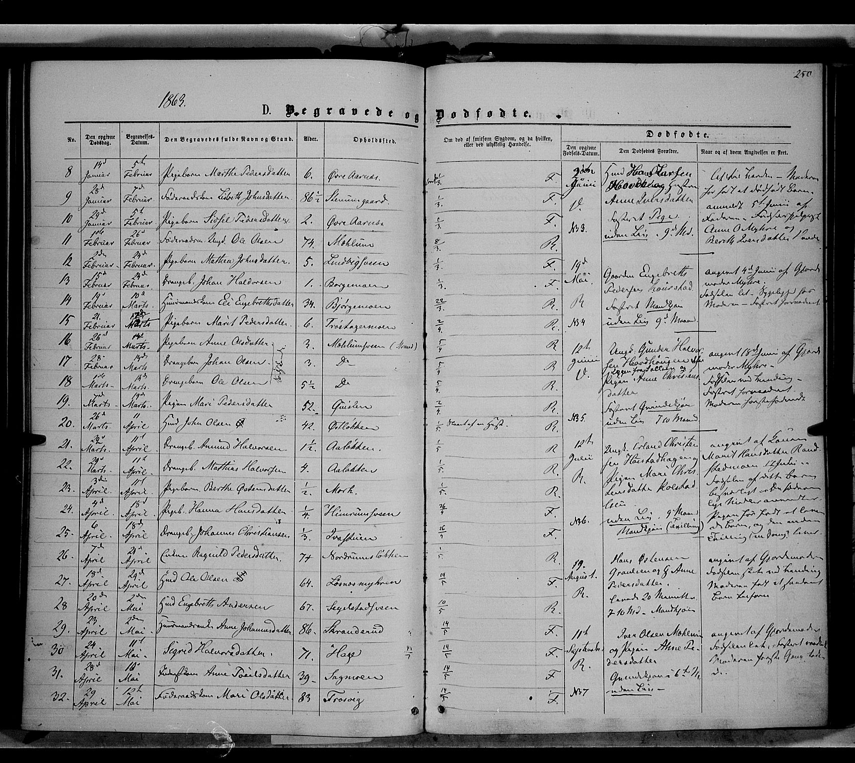 Ringebu prestekontor, AV/SAH-PREST-082/H/Ha/Haa/L0007: Parish register (official) no. 7, 1860-1877, p. 250