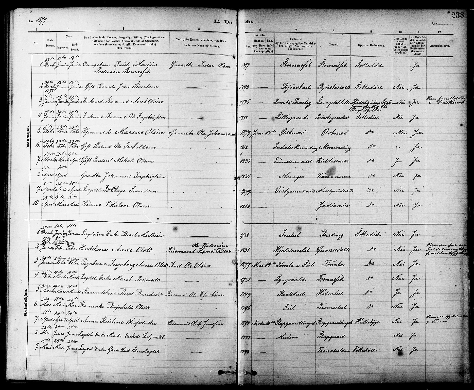 Ministerialprotokoller, klokkerbøker og fødselsregistre - Nord-Trøndelag, SAT/A-1458/724/L0267: Parish register (copy) no. 724C03, 1879-1898, p. 238