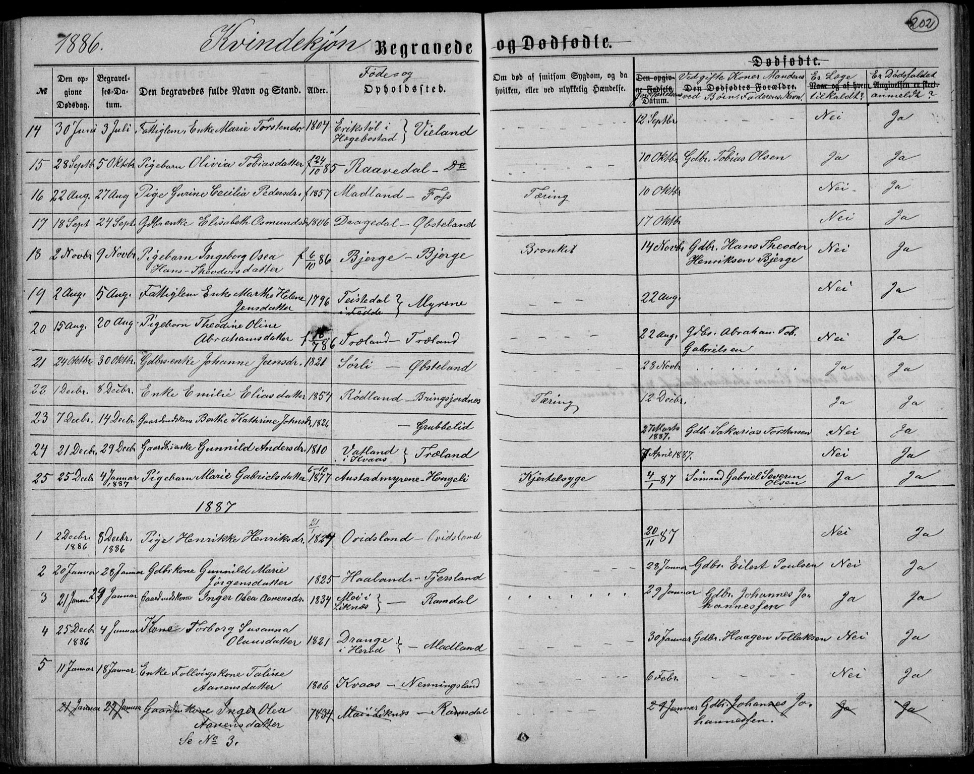 Lyngdal sokneprestkontor, AV/SAK-1111-0029/F/Fb/Fbc/L0004: Parish register (copy) no. B 4, 1878-1896, p. 202