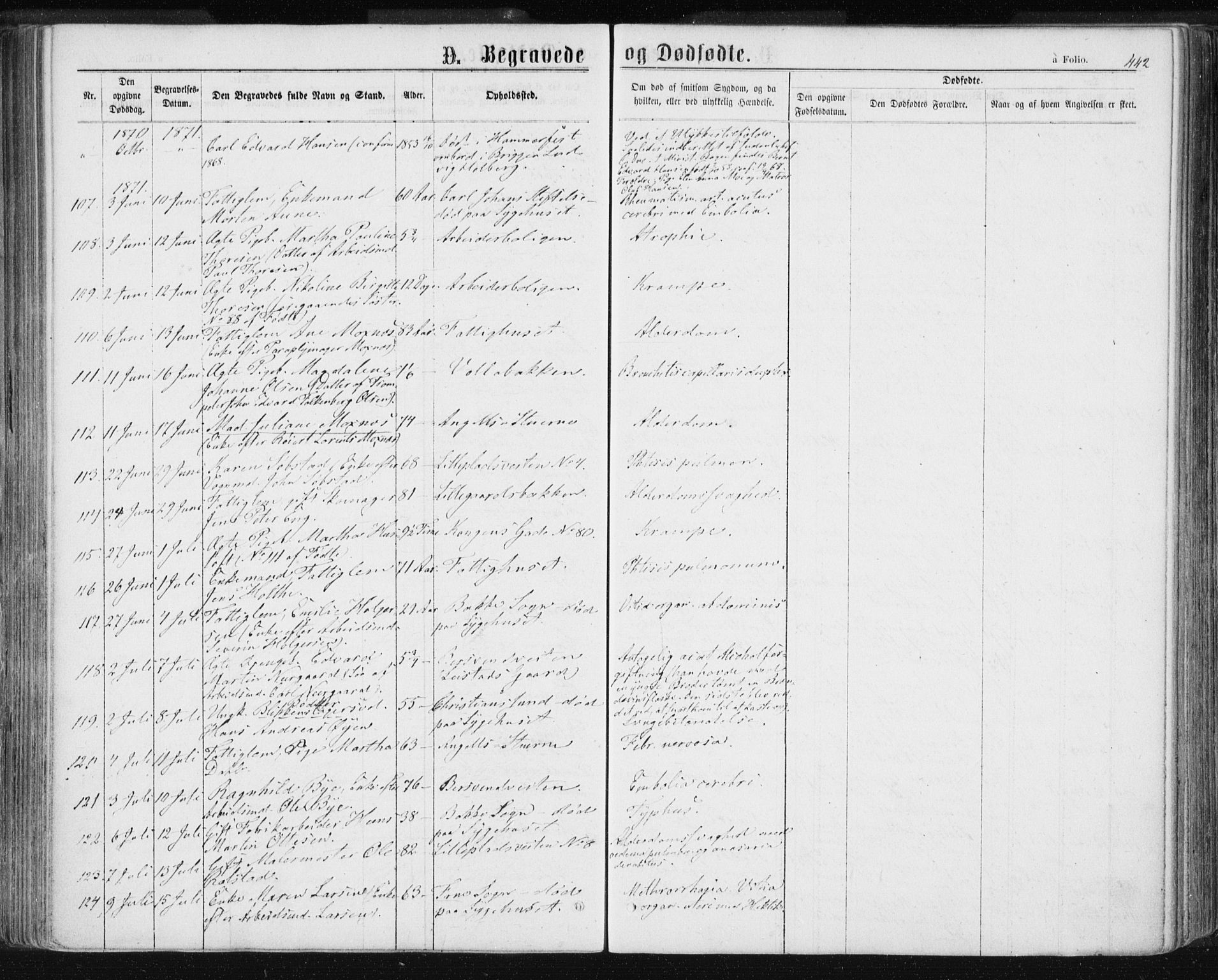 Ministerialprotokoller, klokkerbøker og fødselsregistre - Sør-Trøndelag, AV/SAT-A-1456/601/L0055: Parish register (official) no. 601A23, 1866-1877, p. 442