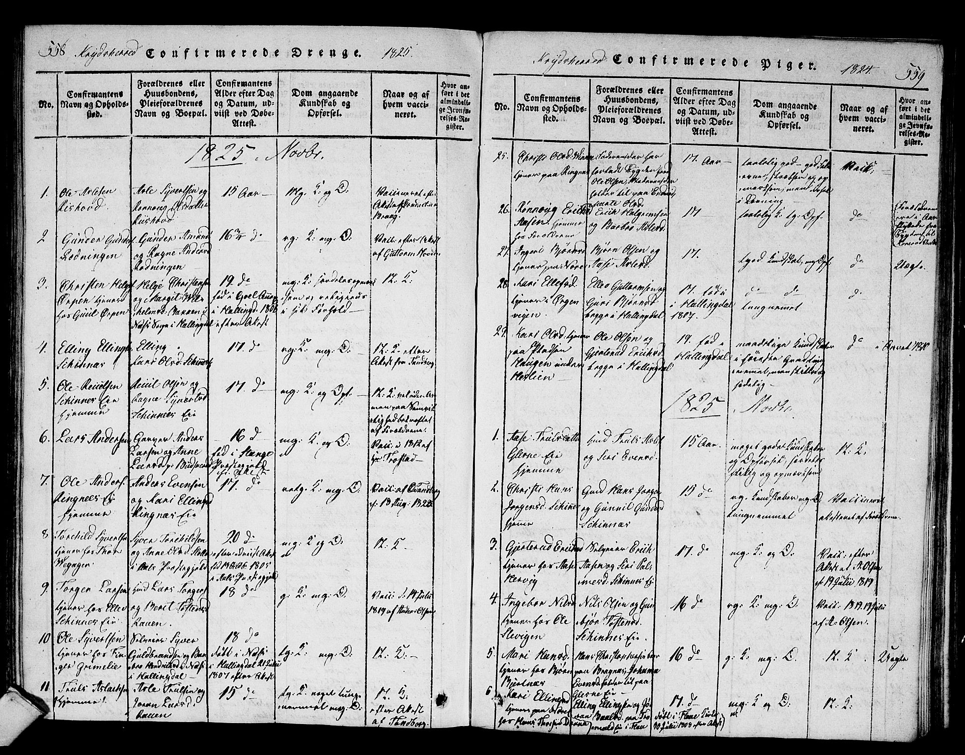 Sigdal kirkebøker, AV/SAKO-A-245/F/Fa/L0005: Parish register (official) no. I 5 /3, 1815-1829, p. 558-559