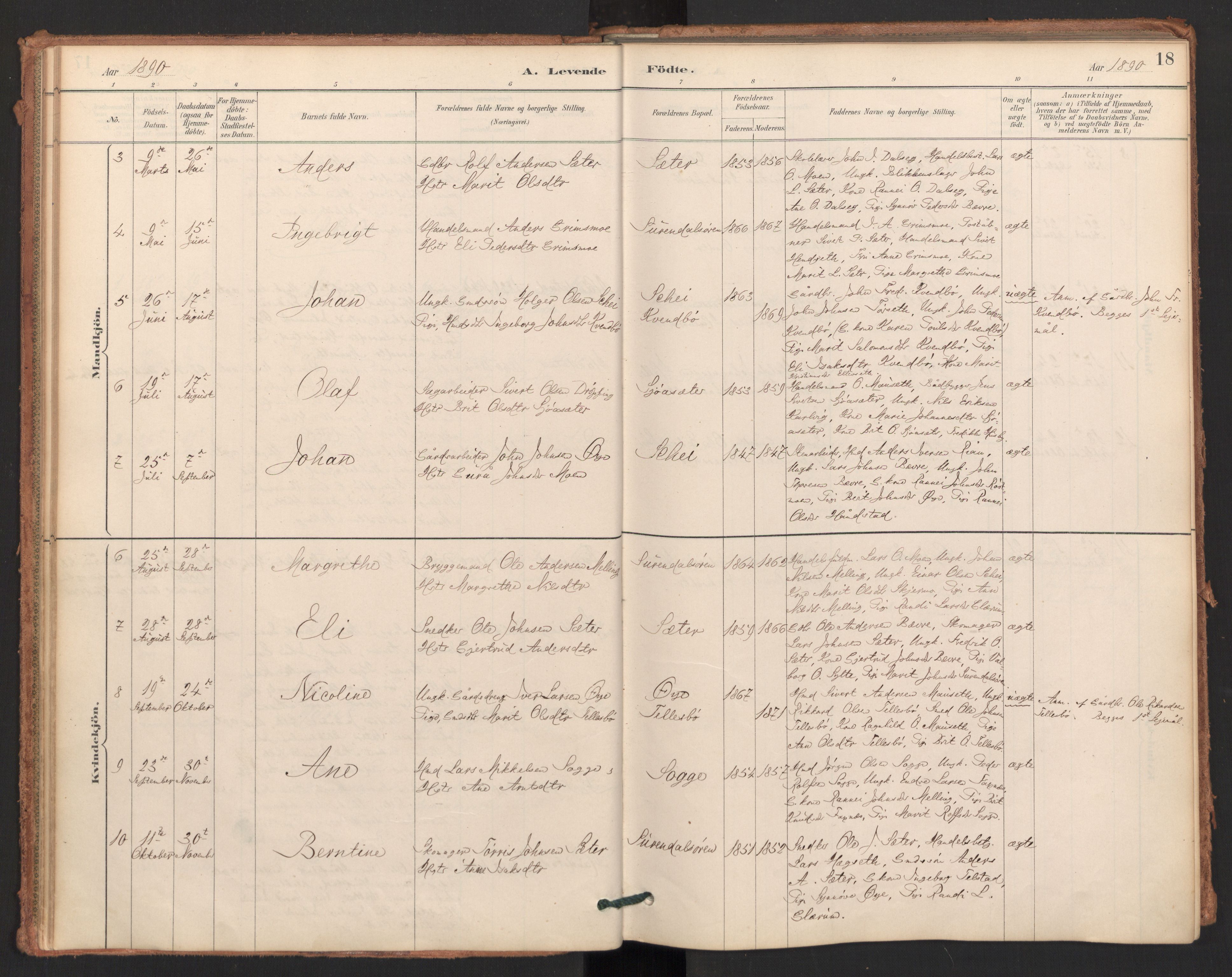 Ministerialprotokoller, klokkerbøker og fødselsregistre - Møre og Romsdal, AV/SAT-A-1454/596/L1056: Parish register (official) no. 596A01, 1885-1900, p. 18