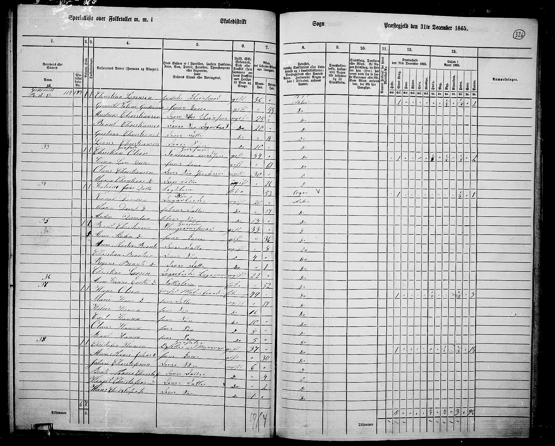 RA, 1865 census for Asker, 1865, p. 315