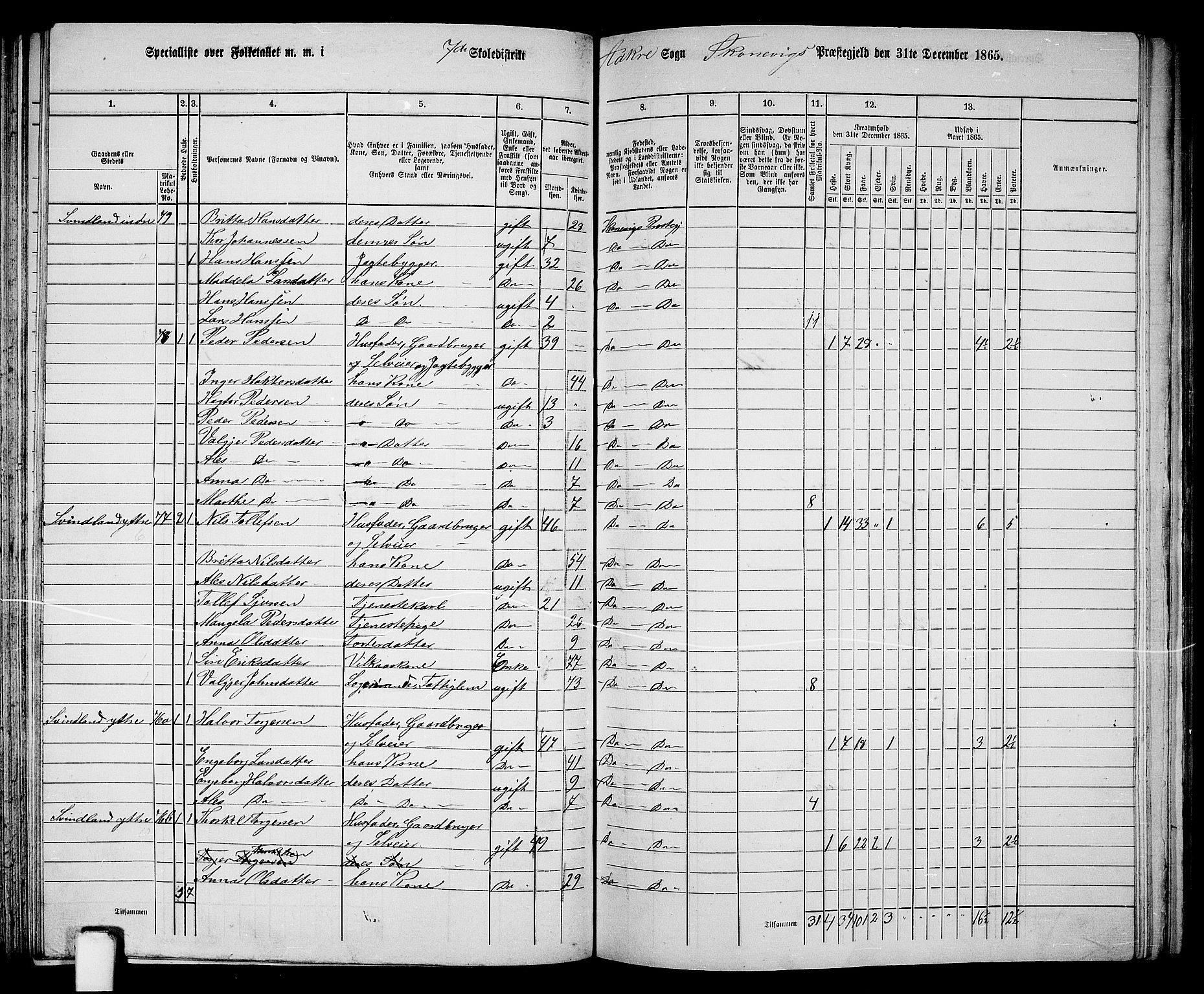 RA, 1865 census for Skånevik, 1865, p. 110