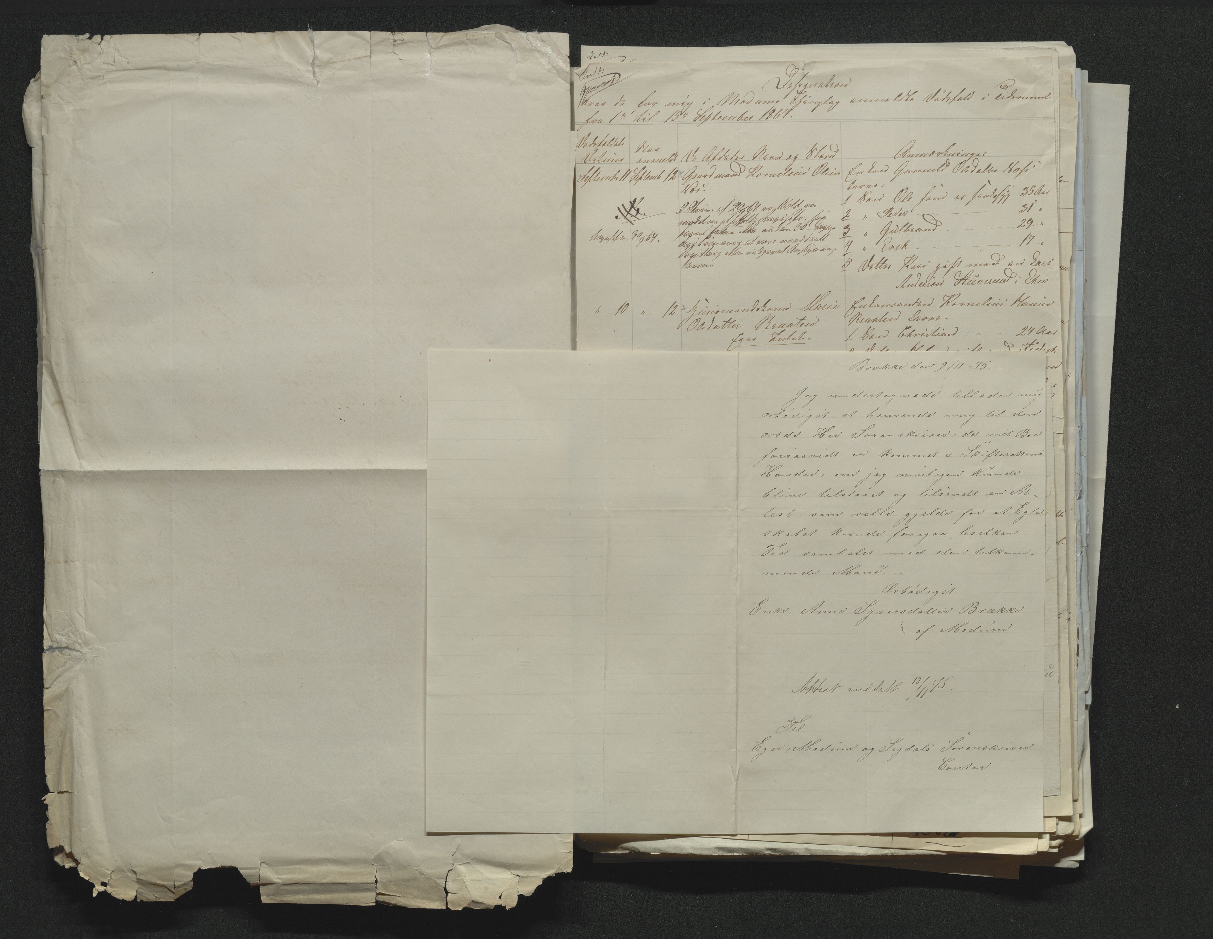 Eiker, Modum og Sigdal sorenskriveri, AV/SAKO-A-123/H/Ha/Hab/L0011: Dødsfallsmeldinger, 1862-1865, p. 419