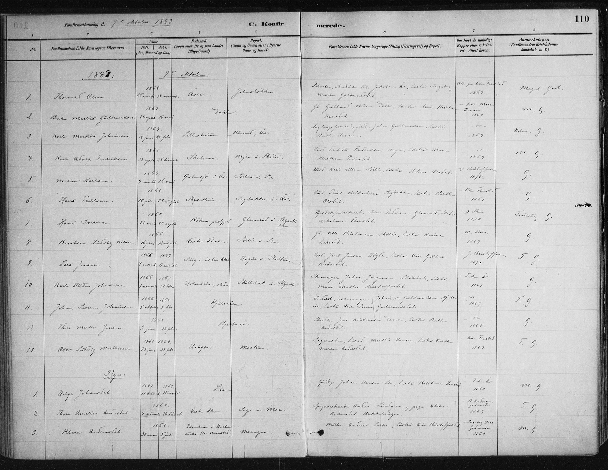 Nittedal prestekontor Kirkebøker, AV/SAO-A-10365a/F/Fa/L0007: Parish register (official) no. I 7, 1879-1901, p. 110